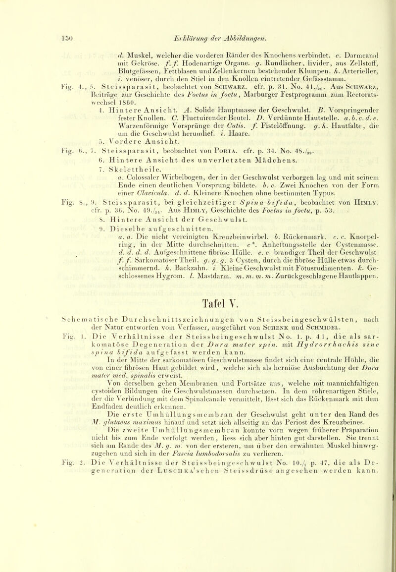 d. Muskel, welcher die vorderen Ränder des Knochens verbindet, e. Darmcannl mit Gekröse, f. f. Hodenartige Organe, g. Kundlicher, lividcr, aus Zellstofi', Blutgefässen, Fettblasen und Zellenkernen bestehender Klumpen, h. Arterieller, /. venöser, durch den Stiel in den Knollen eintretender Gefässstamni. 1., Steissparasit, beobachtet von Schwarz, cfr. p. 31. No. 41./og. Aus Schwarz, Beiträge zur Geschichte des Foeius in foetu, Marburger Festprogramm zum Rectorats- wechsel IS60. 4. Hintere Ansicht. Ä. Solide Hauptmasse der Geschwulst. B. Vorspringender fester Knollen. C. Fluctuirender Beutel. Z). Verdünnte Hautstelle, a.h.c.d.e. Warzenförmige Vorsprünge der Cutis, f. FistelöfFnung. g-h. Hautfalte, die um die Geschwulst herumlief, i. Haare. 5. Vordere Ansicht. 15., 7. Steissparasit, beobachtet von Porta, cfr. p. 34. No. 48./s^. 6. Hintere Ansicht des unverletzten Mädchens. 7. Skelettheile. a. Colossaler Wirbelbogen, der in der Geschwulst verborgen lag und mit seinem Ende einen deutlichen Vorsprung bildete, b. c. Zwei Knochen von der Form einer Clavicula. d. d. Kleinere Knochen ohne bestimmten Typus, b., i). Steissparasit, bei gleichzeitiger Spina bifida, beobachtet von Himly. cfr. p. 36. No. 49./ai. Aus Himly, Geschichte des Foetus in foetu, p. 53. S. Hintere Ansicht der Geschwulst. 9. Dieselbe aufgeschnitten. o. a. Die nicht vereinigten Kreuzbeinwirbel, b. Rückenmark, c. c. Knorpel- ring, in der Mitte durchschnitten, c *. Anhel'tungsstelle der Cystenmasse. d. d. d. d. Aufgeschnittene fibröse Hülle, e. e. brandiger Theil der Geschwulst f. f. Sarkomatöser Theil. g. g. g. 3 Cysten, durch die fibröse Hülle etwas durch- schimmernd. Ä. Backzahn, i Kleine Geschwulst mit Fötusrudimenten, k. Ge- schlossenes Hygrom. /. Mastdarm, m. w. ?«. m. Zurückgeschlagene Flautlappen. Tafel Y. Schema tische Durchschnittszeichnungen von Steissbeingeschwülsten, nach der Natur entworfen vom Verfasser, ausgeführt von Schenk und Schmidel. Fig. I. Die Verhältnisse der S t ei s s be i ng e s ch w uls t N o. 1. p. 41, die als sar- koinatöse Degeneration der Dura mater m^in. mit Hy drorrhachis sine ispina bifida aufgefasst werden kann. In der Mitte der sarkomatösen Geschwulstmasse findet sich eine centrale Höhle, die von einer fibrösen Haut gebildet wird, welche sich als herniöse Ausbuchtung der Dura mater med. spinalis erweist. Von derselben gehen Membranen und Fortsätze aus, welche mit mannichfaltigen cystoiden Bildungen die Geschwulstmassen durchsetzen. In dem röhrenartigen Stiele, der die Verbindung mit dem Spinalcanule vermittelt, lässt sich das Rückenmark mit dem Endfaden deutlich erkennen. Die erste Umh üllun g s m e inb r an der Geschwulst geht unter den Rand des M. glutaeus 77iaximus hinauf und setzt sich allseitig an das Periost des Kreuzbeines. nicht bis zum Ende verfolgt werden, Hess sich aber hinten gut darstellen. Sie trennt sich am Rande des M. g. m. von der ersteren, um über den erwähnten Muskel hinweg- zugehen und sich in der Fascia lumbodorsalis zu verlieren. Fig. 2. Die Verhältnisse der Steissbeingeschwulst No. 10./, p. 47, die als De- generation der L u s c H iv a' s c h e n S t e i s s d r ü s e angesehen werden kann. Fig.
