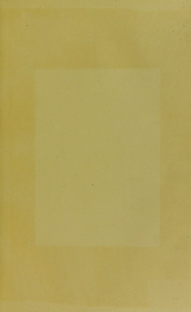 digitised image 3
