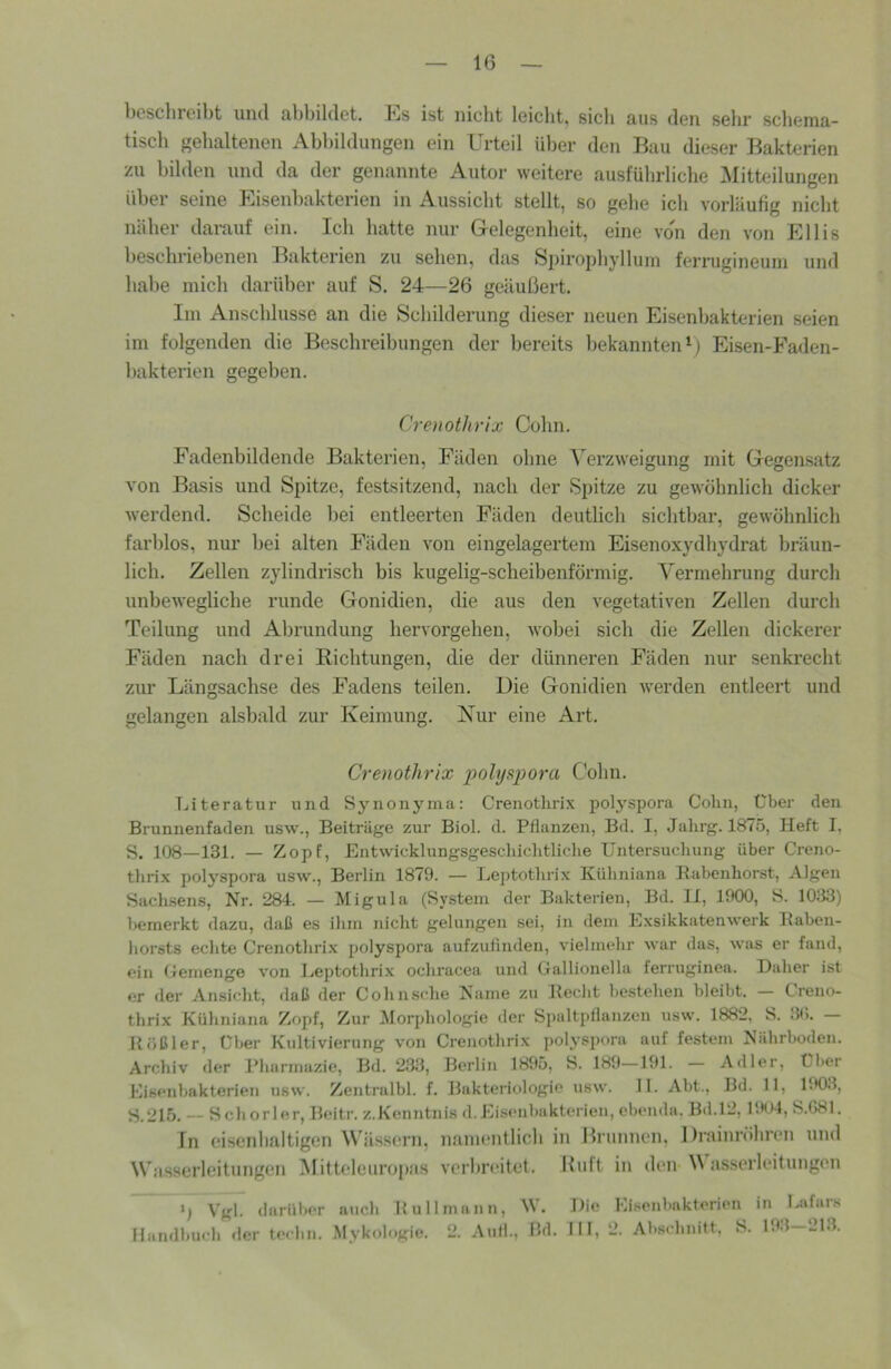 1(5 beschreibt und abbildet. Es ist nicht leicht, sich aus den sehr schema- tisch gehaltenen Abbildungen ein Urteil über den Bau dieser Bakterien zu bilden und da der genannte Autor weitere ausführliche Mitteilungen über seine Eisenl)akterien in Aussicht stellt, so gehe ich vorläufig nicht näher darauf ein. Ich hatte nur Gelegeidieit, eine von den von Ellis beschriebenen Bakterien zu sehen, das Spirophyllum ferrugineum und habe mich darüber auf S. 24—26 geäußert. Im Anschlüsse an die Schilderung dieser neuen Eisenbakterien seien im folgenden die Beschreibungen der bereits bekanntenEisen-Faden- bakterien gegeben. Crenothrix Cohn. Fadenbildende Bakterien, Fäden ohne V erzweigung mit Gegensatz von Basis und Spitze, festsitzend, nach der Spitze zu gewöhnlich dicker werdend. Scheide bei entleerten Fäden deutlich sichtbar, gewöhnlich farblos, nui' bei alten Fäden von eingelagei’tem Eisenoxydhydrat bräun- lich. Zellen zylindrisch bis kugelig-scheibenförmig. Vermehrung durch unbewegliche runde Gonidien, die aus den vegetativen Zellen durch Teilung und Abrundung hervorgehen, wobei sich die Zellen dickerer Fäden nach drei Richtungen, die der dünneren Fäden nur senkrecht zur Längsachse des Fadens teilen. Die Gonidien werden entleert und gelangen alsbald zur Keimung. Xur eine Art. Crenothrix x>ohjspora Cohn. Literatur und Synonyma: Crenothrix polyspora Cohn, Über den Brunnenfaden usw., Beiträge zur Biol. d. Pflanzen, Bd. I, Jahrg. 1875, Heft I, «5, 108—131. — Zopf, Ent%vicklungsgescliiclitliche Untersucliung über Crcno- tfirix polyspora usw., Berlin 1879. — Leptothrix Kühniana Rabenhorst, Algen Saclnsens, Nr. 284. — Migula (System der Bakterien, Bd. II, 1900, S. 1033) bemerkt dazu, daß es ihm nicht gelungen sei, in dem Exsikkatenwerk Raben- horsts echte Crenothri.x j)olyspora aufzufinden, vielmehr war das, was er fand, ein Ciemenge von Leptotliri.x ochracea und Gallionella ferruginea. Daher ist er der Ansicht, daß der Cohnsche Name zu Recht bestehen bleibt. — Creno- thrix Kühniana Zopf, Zur Morphologie der Spaltpllanzen usw. 1882. S. 30. — Rößler, Über Kultivierung von Crenothrix polyspora auf festem Nährboden. Archiv der Rhnritiazie, Bd. 2.33, Berlin 1895, S. 189—191. — Adler, Über Eisenbakterien usw. Zentralbl. f. Bakteriologie usw. 11. Abt., Bd. 11, 1903, S.215. — Schorler, Beitr. z.Kcnntnis d.Eisenbakterien, ebenda. Bd.l2, 1904, S.681. In cisenhfdtigen Wässern, mimentlicli in Itrunucn, Drainröhren und Wasserleitungen Mitteleuropas verbreitet. Ifiift in deiv V asserleitungen ') Vgl. <Iarüber auch Hüll mann, W. Die Eisenbakterien in Lafars Handbuch .ier teclm. Mykologie. 2. Aull., Bd. IN, 2. Abschnitt, S. 193-213.