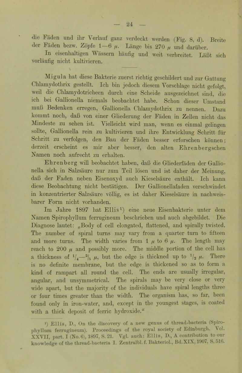 <lie Fäden und ihr Verlauf ganz verdeckt werden (Fig. 8. d;. Breite der Fäden bezw. Zöpfe 1—6 //. Länge bis 270 // und darüber. In eisenhaltigen AVässern häufig und weit verbreitet. Läßt sich vorläufig nicht kultivieren. Migula hat diese Bakterie zuerst richtig geschildert und zur Gattung Chlamydothrix gestellt. Ich bin jedoch diesem Vorschläge nicht gefolgt, weil die Chlamydotricheen durch eine Scheide ausgezeichnet sind, die ich bei Gallionella niemals beobachtet habe. Schon dieser Umstand muß Bedenken erregen, Gallionella Chlamydothrix zu nennen. Dazu kommt noch, daß von einer Gliederung der Fäden in Zellen nicht das Mindeste zu sehen ist. Vielleicht wird man, wenn es einmal gelingen sollte, GalHonella rein zu kultivieren und ihre Entwicklung Schritt für Schritt zu verfolgen, den Bau der Fäden besser erforschen können; derzeit erscheint es mir aber besser, den alten Ehrenbergschen Namen noch aufrecht zu erhalten. Ehrenberg will beobachtet haben, daß die Gliederfäden der Gallio- nella sich in Salzsäure nur zum Teil lösen und ist daher der Meinung, daß der Faden neben Eisenoxyd auch Kieselsäure enthält. Ich kann diese Beobachtung nicht bestätigen. Der GaUionellafaden verschwindet in konzentrierter Salzsäure völlig, es ist daher Kieselsäure in nachweis- barer Form nicht vorhanden. Im Jahre 1897 hat Ellis^) eine neue Eisenbakterie unter dem Namen Spirophyllum ferrugineum beschrieben und auch abgebildet. Die Diagnose lautet: „Body of cell elongated, flattened, and spirally twisted. The number of spiral turns may vary from a quarter turn to fifteen and more turns. The width varies from 1 fi to 6 ß. The length may reach to 200 ß and possibly more. The middle portion of the cell has a thickness of ^/4—^jr, ß, but the edge is thickned up to ^/2 //. There is no definite membrane, but the edge is thickened so as to form a. kind of rampart all round the cell. The ends are usually irregulär, angidar, and unsymmetrical. The spirals may be very dose or very wide apart, but the majority of the individuals have spiral lengths three or four times greater than the width. The organism has, so far, heen found only in iron-water, and, except in the youngest stages, is coated with a thick deposit of ferric hydroxide.“ ') El Hs, T)., On the discovcry of a new genus of tliread-bnctcria (Spiro- pliylltim ferrngineiim). l’roceedings of the royul society of Edinburgh. \ol. XXVII, part. r rXo.«h 1897, S.21. Vgl. auch: Ellis, J)., A contribution to our knowledge of the thread-bacteria I. Zentralhl. f. Bnkteriol., Bd.XlX, 1907, 8.510.