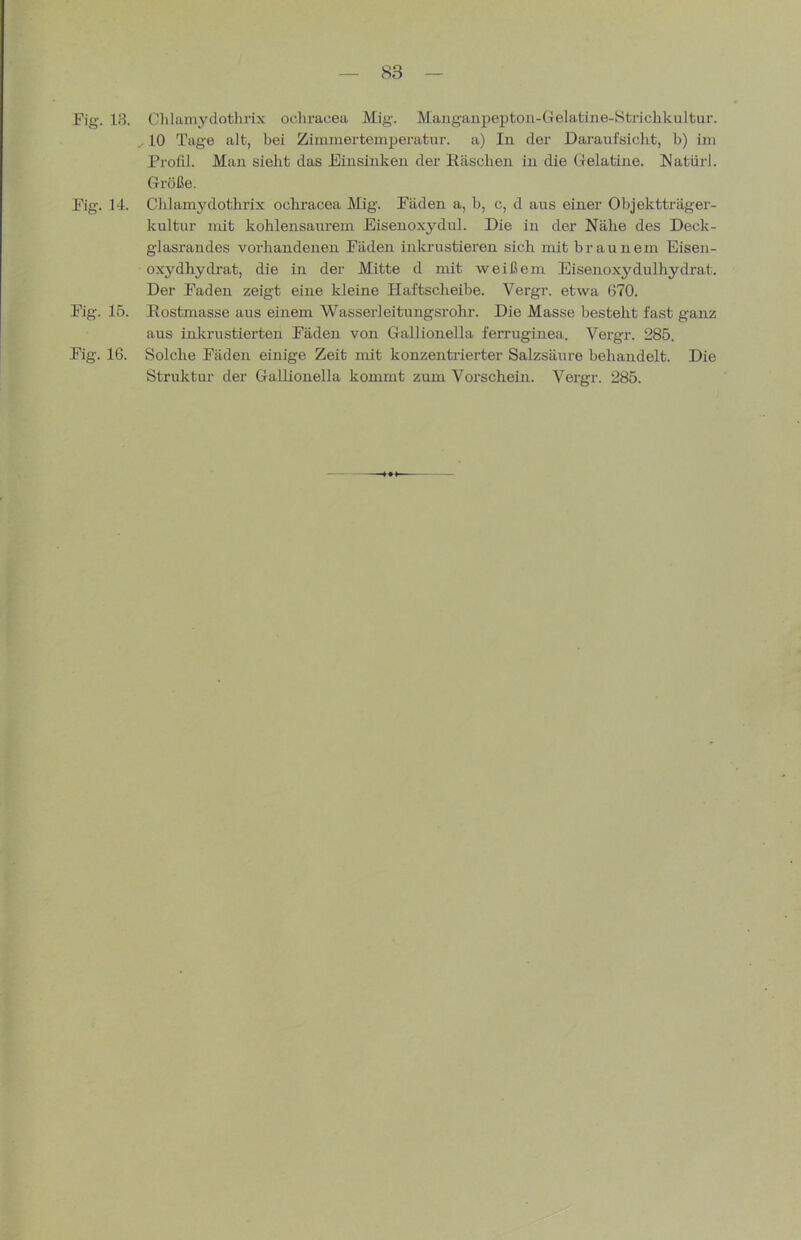 Fig. 13. Fig. 14. Fig. 15. Fig. 16. Chliimydothrix ochracea Mig. Mangaupeptoii-tTelatine-8ti-iclikuItur. 10 Tage alt, bei Zimmertemperatur, a) In der Daraufsicht, b) im Profil. Man sieht das Einsinken der Kaschen in die Gelatine. Eatürl. Größe. Chlamydothrix ochracea Mig. Fäden a, b, c, d aus einer Objektträger- kultur mit kohlensaurem Eisenoxydul. Die in der Nähe des Deck- glasrandes vorhandenen Fäden inkrustieren sich mit braunem Eisen- oxydhydrat, die in der Mitte d mit weißem Eisenoxydulhydrat. Der Faden zeigt eine kleine Haftscheibe. Vergr. etwa 670. Kostmasse aus einem Wasserleitungsrohr. Die Masse besteht fast ganz aus inkrustierten Fäden von Gallionella ferruginea. Vergr. 285. Solche Fäden einige Zeit mit konzentrierter Salzsäure behandelt. Die Struktur der Gallionella kommt zum Vorschein. Vergr. 285.