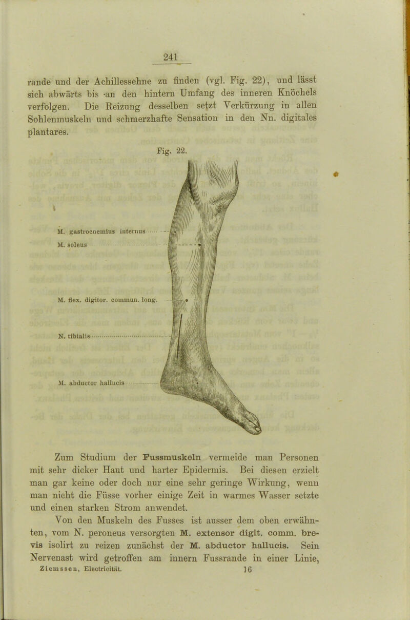 rande und der Achillessehne zu finden (vgl. Fig. 22), und lässt sich abwärts bis -an den hintern Umfang des inneren Knöchels verfolgen. Die Reizung desselben setzt Verkürzung in allen Sohlenmuskeln und schmerzhafte Sensation in den Nn. digitales plantares. Zum Studium der Fussmuskeln vermeide man Personen mit sehr dicker Haut und harter Epidermis. Bei diesen erzielt man gar keine oder doch nur eine sehr geringe Wirkung, wenn man nicht die Füsse vorher einige Zeit in warmes Wasser setzte und einen starken Strom anwendet. Von den Muskeln des Fusses ist ausser dem oben erwähn- ten, vom N. peroneus versorgten M. extensor digit. eomm. bre- vis isolirt zu reizen zunächst der M. abduetor hallucis. Sein Nervenast wird getroffen am innern Fussrande in einer Linie, Ziemssen, Electricität. ]6