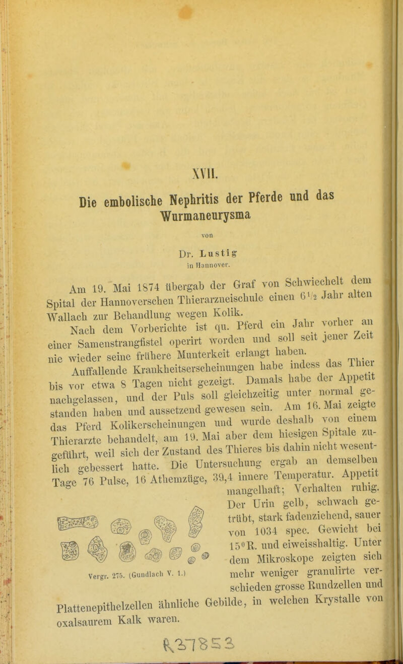 XVII. Die embolische Nephritis der Pferde und das Wurmaneurysma von Dr. Lustig in Hannover. Am 19. Mai 1S74 «bergab der Graf von Schwiechelt dein Spital der Hannoverseben Thierarzneiscbule einen fa - 2 Jabr alten Wallacb zur Bebandlnng wegen Kolik. Nacb dem Vovbericbte ist qn. Pferd em Jabr vorbe. an einer Samenstrangfistel operirt worden und soll seit joner Zeit nie wieder seine trübere Munterkeit erlangt haben Auffallende Krankbeitserscbeimmgen babe indess das ihiei bis vor etwa 8 Tagen niebt gezeigt. Damals babe der Appetit naebgelassen, und der Puls soll gleiebzeitig ^-^'^^'J^l standen baben and aussetzend gewesen sein. Am 16. Mai «ngtc das Pferd Kolikersebeinungen und wimle desbalb von einem Thierarzte behandelt, am 19. Mai aber dem hiesigen Spitile zu- geführt, weil sieh der Zustand des Thieres bis dahm nicht wesent- fieh gebessert hatte. Die üntersuebung ergab an demselben Tage 76 Pulse, 16 Athemzüge, 39,4 innere Temperatur. Appetit ^ mangelhaft; Verhalten vubig. Der Urin gelb, schwaeh ge- trübt, stark fadenziebend, saner von 1034 spee. Gewicht bei 15«R. und eiweissbaltig. Unter dem Mikroskope zeigten sich verer. r.i. (Guiidiadi V. 1.) mehr weniger granulirte ver- schieden grosse Rundzellen und Plattenepitbelzellen ähnliehe Gebilde, in welchen Krystalle von oxalsanrem Kalk waren.