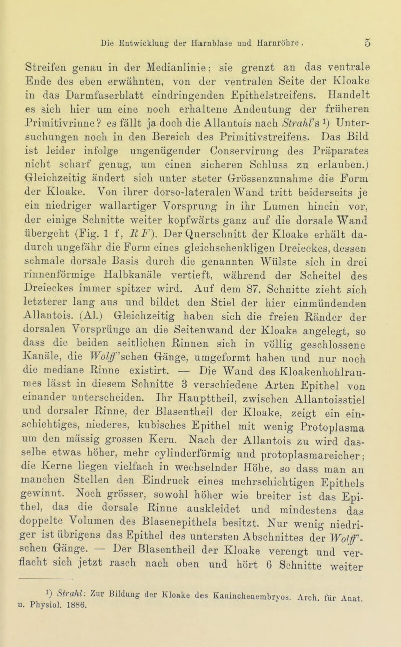 Streifen genau in der Medianlinie; sie grenzt an das ventrale Ende des eben erwähnten, von der ventralen Seite der Kloake in das Darmfaserblatt eindringenden Epithelstreifens. Handelt €s sich hier um eine noch erhaltene Andeutung der früheren Primitivrinne ? es fällt ja doch die Allantois nach Strahles ^) Unter- suchungen noch in den Bereich des Primitivstreifens. Das Bild ist leider infolge ungenügender Conservirung des Präparates nicht scharf genug, um einen sicheren Schluss zu erlauben.) Gleichzeitig ändert sich unter steter Grössenzunahme die Form der Kloake, Von ihrer dorso-lateralen Wand tritt beiderseits je ein niedriger wallartiger Vorsprung in ihr Lumen hinein vor, der einige Schnitte weiter kopfwärts ganz auf die dorsale Wand übergeht (Fig. 1 f, R F). Der Querschnitt der Kloake erhält da- durch ungefähr die Form eines gleichschenkligen Dreieckes, dessen schmale dorsale Basis durch die genannten Wülste sich in drei rinnenförmige Halbkanäle vertieft, während der Scheitel des Dreieckes immer spitzer wird. Auf dem 87. Schnitte zieht sich letzterer lang aus und bildet den Stiel der hier einmündenden Allantois. (AI.) Gleichzeitig haben sich die freien Ränder der dorsalen Vorsprünge an die Seitenwand der Kloake angelegt, so dass die beiden seitlichen Rinnen sich in völlig geschlossene Kanäle, die Wölfischen Gänge, umgeformt haben und nur noch die mediane Rinne existirt. — Die Wand des Kloakenhohlrau- mes lässt in diesem Schnitte 3 verschiedene Arten Epithel von einander unterscheiden. Ihr Haupttheil, zwischen AUantoisstiel und dorsaler Rinne, der Blasentheil der Kloake, zeigt ein ein- schichtiges, niederes, kubisches Epithel mit wenig Protoplasma um den mässig grossen Kern. Nach der Allantois zu wird das- selbe etwas höher, mehr cylinderförmig und protoplasmareicher; die Kerne liegen vielfach in wechselnder Höhe, so dass man an manchen Stellen den Eindruck eines mehrschichtigen Epithels gewinnt. Noch grösser, sowohl höher wie breiter ist das Epi- thel, das die dorsale Rinne auskleidet und mindestens das doppelte Volumen des Blasenepithels besitzt. Nur wenig niedri- ger ist übrigens das Epithel des untersten Abschnittes der Wo{f- schen Gänge. — Der Blasentheil der Kloake verengt und ver- flacht sich jetzt rasch nach oben und hört 6 Schnitte weiter 1} Strahl: Zur Bilduug der Kloake des Kaniiicheaembryos. Arch für Anat u. Physiol. 1886.