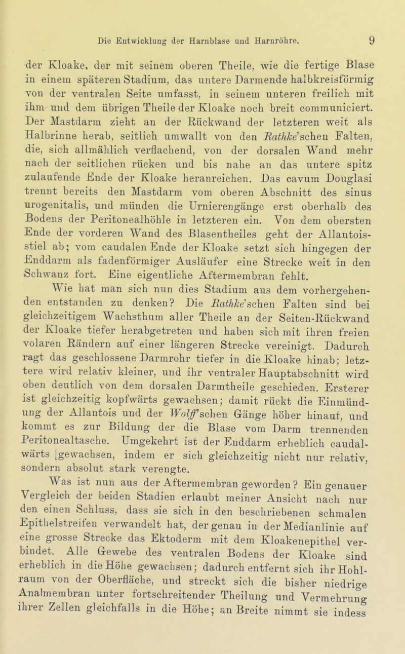 der Kloake, der mit seinem oberen Theile, wie die fertige Blase in einem späteren Stadium, das untere Darmende halbkreisförmig von der ventralen Seite umfasst, in seinem unteren freilich mit ihm und dem übrigen Theile der Kloake noch breit communiciert. Der Mastdarm zieht an der Rückwand der letzteren weit als Halb rinne herab, seitlich umwallt von den BathJce^sehen Falten, die, sich allmählich verflachend, von der dorsalen Wand mehr nach der seitlichen rücken und bis nahe an das untere spitz zulaufende Ende der Kloake heranreichen. Das cavum Douglas! trennt bereits den Mastdarm vom oberen Abschnitt des sinus urogenitalis, und münden die Urnierengänge erst oberhalb des Bodens der Peritonealhöhle in letzteren ein. Von dem obersten Ende der vorderen Wand des Blasentheiles geht der Allantois- stiel ab; vom caudalen Ende der Kloake setzt sich hingegen der Enddarm als fadenförmiger Ausläufer eine Strecke weit in den Schwanz fort. Eine eigentliche Aftermembran fehlt. Wie hat man sich nun dies Stadium aus dem vorhergehen- den entstanden zu denken? Die RathJce'sehen Falten sind bei gleichzeitigem Wachsthum aller Theile an der Seiten-Rückwand der Kloake tiefer herabgetreten und haben sich mit ihren freien volaren Rändern auf einer längeren Strecke vereinigt. Dadurch ragt das geschlossene Darmrohr tiefer in die Kloake hinab; letz- tere wird relativ kleiner, und ihr ventraler Hauptabschnitt wird oben deutlich von dem dorsalen Darmtheile geschieden. Ersterer ist gleichzeitig kopfwärts gewachsen; damit rückt die Einmünd- ung der Allantois und der Wolf sehen Gänge höher hinauf, und kommt es zur Bildung der die Blase vom Darm trennenden Peritonealtasche. Umgekehrt ist der Enddarm erheblich caudal- wärts ^gewachsen, indem er sich gleichzeitig nicht nur relativ, sondern absolut stark verengte. Was ist nun aus der Aftermembran geworden ? Ein genauer Vergleich der beiden Stadien erlaubt meiner Ansicht nach nur den einen Schluss, dass sie sich in den beschriebenen schmalen Epithelstreifen verwandelt hat, der genau in der Medianlinie auf eine grosse Strecke das Ektoderm mit dem Kloakenepithel ver- bindet. Alle Gewebe des ventralen Bodens der Kloake sind erheblich in die Höhe gewachsen; dadurch entfernt sich ihr Hohl- raum von der Oberfläche, und streckt sich die bisher niedrige Analmembran unter fortschreitender Theilung und Vermehrung ihrer Zellen gleichfalls in die Höhe; an Breite nimmt sie indess