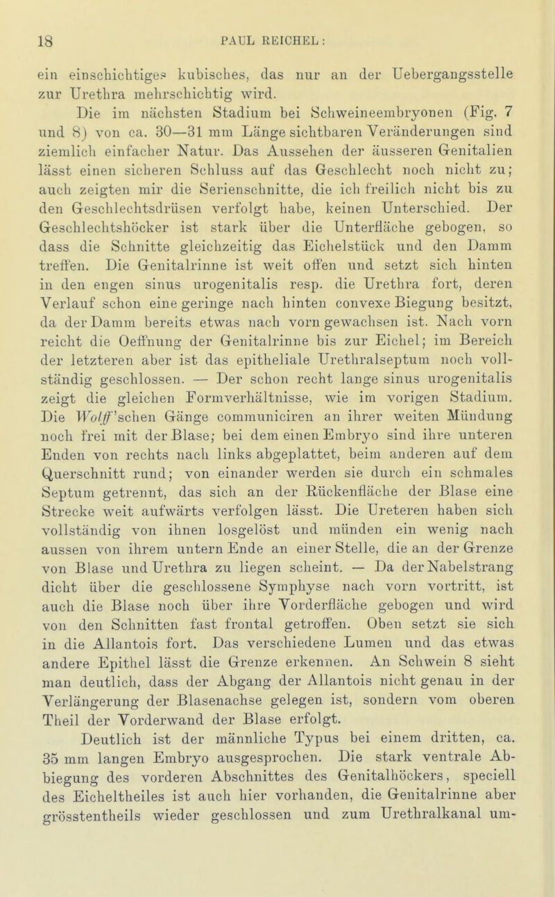 ein einschichtige? kubisches, das nur an der Uebergangsstelle zur Urethra mehrschichtig wird. Die im nächsten Stadium bei Schweineembryonen (Fig. 7 und 8) von ca. 30—31 mm Länge sichtbaren Veränderungen sind ziemlich einfacher Natur. Das Aussehen der äusseren Grenitalien lässt einen sicheren Schluss auf das Greschlecht noch nicht zu; auch zeigten mir die Serienschnitte, die ich freilich nicht bis zu den Geschlechtsdrüsen verfolgt habe, keinen Unterschied. Der Geschlechtshücker ist stark über die Unteröäche gebogen, so dass die Schnitte gleichzeitig das Eichelstück und den Damm treffen. Die Genitalrinne ist weit offen und setzt sich hinten in den engen sinus urogenitalis resp. die Urethra fort, deren Verlauf schon eine geringe nach hinten convexe Biegung besitzt, da der Damm bereits etwas nach vorn gewachsen ist. Nach vorn reicht die Oeffnung der Genitalrinne bis zur Eichel; im Bereich der letzteren aber ist das epitheliale Urethralseptum noch voll- ständig geschlossen. — Der schon recht lange sinus urogenitalis zeigt die gleichen Formverhältnisse, wie im vorigen Stadium. Die Wölfischen Gänge communiciren an ihrer weiten Mündung noch frei mit der Blase; bei dem einen Embryo sind ihre unteren Enden von rechts nach links abgeplattet, beim anderen auf dem Querschnitt rund; von einander werden sie durch ein schmales Septum getrennt, das sich an der Rückenfläche der Blase eine Strecke weit aufwärts verfolgen lässt. Die Ureteren haben sich vollständig von ihnen losgelöst und münden ein wenig nach aussen von ihrem untern Ende an einer Stelle, die an der Grenze von Blase und Urethra zu liegen scheint. — Da der Nabelstrang dicht über die geschlossene Symphyse nach vorn vortritt, ist auch die Blase noch über ihre Vorderfläche gebogen und wird von den Schnitten fast frontal getroff'en. Oben setzt sie sich in die Allantois fort. Das verschiedene Lumen und das etwas andere Epithel lässt die Grenze erkennen. An Schwein 8 sieht man deutlich, dass der Abgang der Allantois nicht genau in der Verlängerung der Blasenachse gelegen ist, sondern vom oberen Theil der Vorderwand der Blase erfolgt. Deutlich ist der männliche Typus bei einem dritten, ca. 35 mm langen Embryo ausgesprochen. Die stark ventrale Ab- biegung des vorderen Abschnittes des Genitalhöckers, speciell des Eicheltheiles ist auch hier vorhanden, die Genitalrinne aber grösstentheils wieder geschlossen und zum Urethralkanal um-