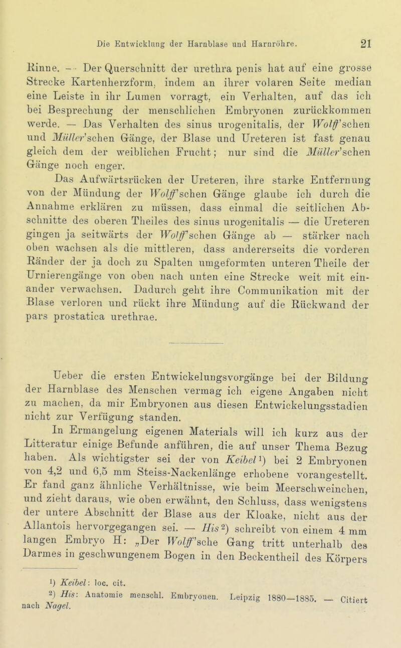 Kinne. - ■ Der Querschnitt der Urethra penis hat auf eine grosse Strecke Kartenherzform, indem an ihrer volaren Seite median eine Leiste in ihr Lumen vorragt, ein Verhalten, auf das ich bei Besprechung der menschlichen Embryonen zurückkommen werde. — Das Verhalten des sinus urogenitalis, der TFo/^'schen und Müller^sehen Gänge, der Blase und Ureteren ist fast genau gleich dem der weiblichen Frucht; nur sind die 3IüUer'sehen Gänge noch enger. Das Aufwärtsrücken der üreteren, ihre starke Entfernung von der Mündung der Wolf sehen Gänge glaube ich durch die Annahme erklären zu müssen, dass einmal die seitlichen Ab- schnitte des oberen Theiles des sinus urogenitalis — die Ureteren gingen ja seitwärts der Wolf sehen Gänge ab — stärker nach oben wachsen als die mittleren, dass andererseits die vorderen Ränder der ja doch zu Spalten umgeformten unteren Theile der Urnierengänge von oben nach unten eine Strecke weit mit ein- ander verwachsen. Dadurch geht ihre Communikation mit der Blase verloren und rückt ihre Mündung auf die Rückwand der pars prostatica urethrae. Ueber die ersten Entwickelungsvorgänge bei der Bildung der Harnblase des Menschen vermag ich eigene Angaben nicht zu machen, da mir Embryonen aus diesen Entwickeluugsstadien nicht zur Verfügung standen. In Ermangelung eigenen Materials will ich kurz aus der Litteratur einige Befunde anführen, die auf unser Thema Bezug haben. Als wichtigster sei der von Keibel^) bei 2 Embryonen von 4,2 und 6,5 mm Steiss-Nackenlänge erhobene vorangestellt. Er fand ganz ähnliche Verhältnisse, wie beim Meerschweinchen, und zieht daraus, wie oben erwähnt, den Schluss, dass wenigstens der untere Abschnitt der Blase aus der Kloake, nicht aus der Allantois hervorgegangen sei. — His'^) schreibt von einem 4 mm langen Embryo H: ,,Der Wolfsehe Gang tritt unterhalb des Darmes in geschwungenem Bogen in den Beckentheil des Körners Keihel: loc. cit. 2) His: Anatomie mensclil. Embryonen. Leipzig 1880—1885. — Citiert nach Nagel.