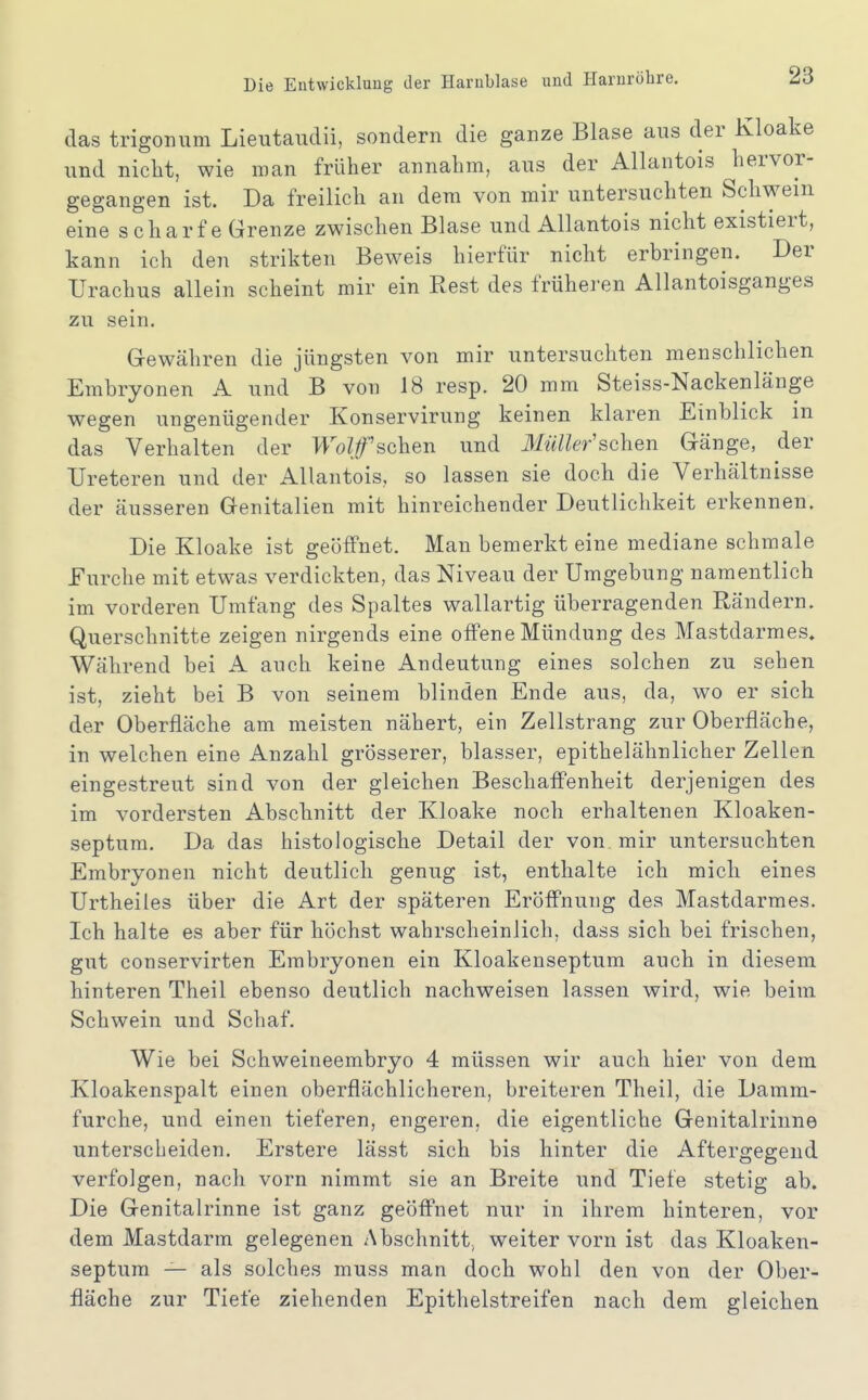 das trigoniim Lieutaudii, sondern die ganze Blase aus der Kloake und nicht, wie man früher annahm, aus der Allantois hervor- gegangen ist. Da freilich an dem von mir untersuchten Schwein eine scharfe Grenze zwischen Blase und Allantois nicht existiert, kann ich den strikten Beweis hierfür nicht erbringen. Der Urachus allein scheint mir ein Rest des früheren Allantoisganges zu sein. Grewähren die jüngsten von mir untersuchten menschlichen Embryonen A und B von 18 resp. 20 mm Steiss-Nackenlänge wegen ungenügender Konservirung keinen klaren Einblick m das Verhalten der Wolf sehen und Müller'schen Gänge, der TJreteren und der Allantois, so lassen sie doch die Verhältnisse der äusseren Genitalien mit hinreichender Deutlichkeit erkennen. Die Kloake ist geöffnet. Man bemerkt eine mediane schmale Eurche mit etwas verdickten, das Niveau der Umgebung namentlich im vorderen Umfang des Spaltes wallartig überragenden Rändern. Querschnitte zeigen nirgends eine offene Mündung des Mastdarmes, Während bei A auch keine Andeutung eines solchen zu sehen ist, zieht bei B von seinem blinden Ende aus, da, wo er sich der Oberfläche am meisten nähert, ein Zellstrang zur Oberfläche, in welchen eine Anzahl grösserer, blasser, epithelähnlicher Zellen eingestreut sind von der gleichen Beschaffenheit derjenigen des im vordersten Abschnitt der Kloake noch erhaltenen Kloaken- septum. Da das histologische Detail der von mir untersuchten Embryonen nicht deutlich genug ist, enthalte ich mich eines Urtheiles über die Art der späteren Eröffnung des Mastdarmes. Ich halte es aber für höchst wahrscheinlich, dass sich bei frischen, gut conservirten Embryonen ein Kloakenseptum auch in diesem hinteren Theil ebenso deutlich nachweisen lassen wird, wie beim Schwein und Schaf. Wie bei Schweineembryo 4 müssen wir auch hier von dem Kloakenspalt einen oberflächlicheren, breiteren Theil, die Damm- furche, und einen tieferen, engeren, die eigentliche Genitalrinne unterscheiden. Erstere lässt sich bis hinter die Aftergegend verfolgen, nach vorn nimmt sie an Breite und Tiefe stetig ab. Die Genitalrinne ist ganz geöffnet nur in ihrem hinteren, vor dem Mastdarm gelegenen Abschnitt, weiter vorn ist das Kloaken- septum — als solches muss man doch wohl den von der Ober- fläche zur Tiefe ziehenden Epithelstreifen nach dem gleichen