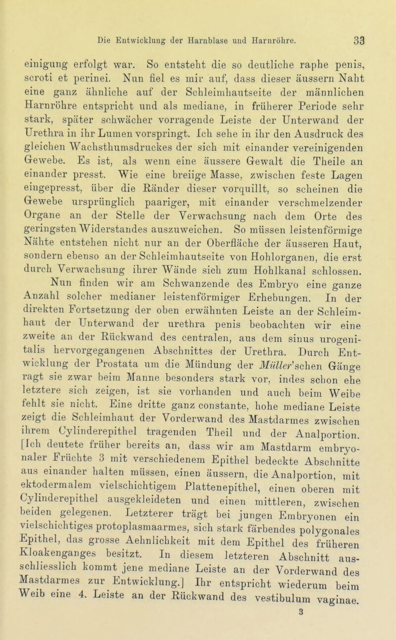 einigung erfolgt war. So entsteht die so deutliche raphe penis, scroti et perinei. Nun fiel es mir auf, dass dieser äussern Naht eine ganz ähnliche auf der Schleimhautseite der männlichen Harnröhre entspricht und als mediane, in früherer Periode sehr stark, später schwächer vorragende Leiste der Unterwand der Urethra in ihr Lumen vorspringt. Ich sehe in ihr den Ausdruck des gleichen Wachsthumsdruckes der sich mit einander vereinigenden Gewebe. Es ist, als wenn eine äussere Gewalt die Theile an einander presst. Wie eine breiige Masse, zwischen feste Lagen eiugepresst, über die Ränder dieser vorquillt, so scheinen die Gewebe ursprünglich paariger, mit einander verschmelzender Organe an der Stelle der Verwachsung nach dem Orte des geringsten Widerstandes auszuweichen. So müssen leistenförmige Nähte entstehen nicht nur an der Oberfläche der äusseren Haut, sondern ebenso an der Schleimhautseite von Hohlorganen, die erst durch Verwachsung ihrer Wände sich zum Hohlkanal schlössen. Nun finden wir am Schwanzende des Embryo eine ganze Anzahl solcher medianer leistenförmiger Erhebungen. In der direkten Fortsetzung der oben erwähnten Leiste an der Schleim- haut der Unterwand der Urethra penis beobachten wir eine zweite an der Rückwand des centralen, aus dem sinus urogeni- talis hervorgegangenen Abschnittes der Urethra. Durch Ent- wicklung der Prostata um die Mündung der Müller'sehen Gänge ragt sie zwar beim Manne besonders stark vor, indes schon ehe letztere sich zeigen, ist sie vorhanden und auch beim Weibe fehlt sie nicht. Eine dritte ganz constante, hohe mediane Leiste zeigt die Schleimhaut der Vorderwand des Mastdarmes zwischen ihrem Cylinderepithel tragenden Theil und der Analportion. [Ich deutete früher bereits an, dass wir am Mastdarm embryo- naler Früchte 3 mit verschiedenem Epithel bedeckte Abschnitte aus einander halten müssen, einen äussern, die Analportion, mit ektodermalem vielschichtigem Plattenepithel, einen oberen mit Cylinderepithel ausgekleideten und einen mittleren, zwischen beiden gelegenen. Letzterer trägt bei jungen Embryonen ein vielschichtiges protoplasmaarmes, sich stark färbendes polygonales Epithel, das grosse Aehnlichkeit mit dem Epithel des früheren Kloakenganges besitzt. In diesem letzteren Abschnitt aus- schliesslich kommt jene mediane Leiste an der Vorderwand des Mastdarmes zur Entwicklung.] Ihr entspricht wiederum beim Weib eine 4. Leiste an der Rückwand des vestibulum vaginae S