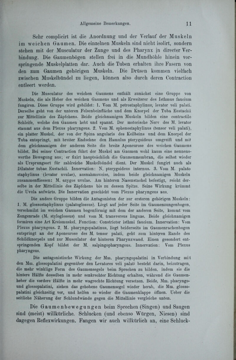 Sehr complieirt ist die Anordnung und der Verlauf der Muskeln im weichen Gaumen. Die einzelnen Muskeln sind nicht isolirt, sondern stehen mit der Musculatur der Zunge und des Pharynx in directer Ver- bindung. Die Gaumenbögen stellen frei in die Mundhöhle hinein vor- springende Muskelplatten dar. Auch die Tuben erhalten ihre Fasern von den zum Gaumen gehörigen Muskeln. Die Drüsen kommen vielfach zwischen Muskelbündel zu liegen, können also durch deren Contraction entleert werden. Die Musculatur des weichen Gaumens enthält zunächst eine Gruppe von Muskeln, die als Heber des weichen Gaumens und als Erweiterer des Isthmus faueium fungiren. Diese Gruppe wird gebildet: 1. Vom M. petrostaphylinus,- levator veli palati. Derselbe geht von der unteren Eelsenbeinfläehe und dem Knorpel der Tuba Eustaehii zur Mittellinie des Zäpfchens. Beide gleichnamigen Muskeln bilden eine contractile Schleife, welche den Gaumen hebt und spannt. Der motorische Nerv des M. levator stammt aus dein Plexus pharyngeus. 2. Vom M. sphenostaphylinus (tensor veli palati), ein platter Muskel, der von der Spina angularis des Keilbeins und dem Knorpel der Tuba entspringt, mit breiter Endsehne den Hamulus pterygoideus umgreift und mit dem gleichnamigen der anderen Seite die breite Aponeurose des weichen Gaumens bildet. Bei seiner Contraction führt der Muskel am Gaumen wohl kaum eine nennens- werte Bewegung aus; er fixirt hauptsächlich die Gaumenmembran, die selbst wieder als Ursprungsort für zahlreiche Muskelbündel dient. Der Muskel fungirt auch als Dilatator tubae Eustaehii. Innervation: N. pterygoideus internus. 3. Vom M. palato staphylinus (levator uvulae), ausnahmsweise, indem beide gleichnamigen Muskeln zusammenfliessen: M. azygos uvulae. Am hinteren Nasenstachel befestigt, reicht der- selbe in der Mittellinie des Zäpfchens bis zu dessen Spitze. Seine Wirkung krümmt die Uvula aufwärts. Die Innervation geschieht vom Plexus pharyngeus aus. Die andere Gruppe bilden die Antagonisten der zur ersteren gehörigen Muskeln: 1. M. glossostaphylinus (palatoglossus). Liegt auf jeder Seite im Gaumenzungenbogen, verschmilzt im weichen Gaumen bogenförmig mit dem der anderen Seite, kommt vom Zungenrade (M. styloglossus) und vom M. transversus linguae. Beide gleichnamigen formiren eine Art Kreismuskel. Function: Constrictor isthmi faueium. Innervation: Vom Plexus pharyngeus. 2. M. pharyngopalatinus, liegt beiderseits im Gaumenrachenbogen entspringt an der Aponeurose des M. tensor palati, geht zum hinteren Rande des Schildknorpels und zur Musculatur der hinteren Pharynxwand. Einen gesondert ent- springenden Kopf bildet der M. salpingopharyngeus. Innervation: Vom Plexus pharyngeus. Die antagonistische Wirkung der Mm. pharyngopalatini in Verbindung mit den Mm. glossopalatini gegenüber den Levatores veli palati besteht darin, beizutragen, die mehr winklige Form des Gaumensegels beim Sprechen zu bilden, indem sie die hintere Hälfte desselben in mehr senkrechter Richtung erhalten, während die Gaumen- heber die vordere Hälfte in mehr wagrechte Richtung versetzen. Beide, Mm. pharyngo- und glossopalatini, ziehen das gehobene Gaumensegel wieder herab, die Mm. glosso- palatini gleichzeitig vor, und helfen so wieder die Gaumenklappe öffnen. Ueber die seitliche Näherung der Schlundwände gegen die Mittellinie vergleiche unten. Die Gaumenbewegungen beim Sprechen (Singen) und Saugen sind (meist) willkürliche. Schlucken (und ebenso Würgen, Niesen) sind dagegen Reflexwirkungen. Fangen wir auch willkürlich an, eine Schluck-