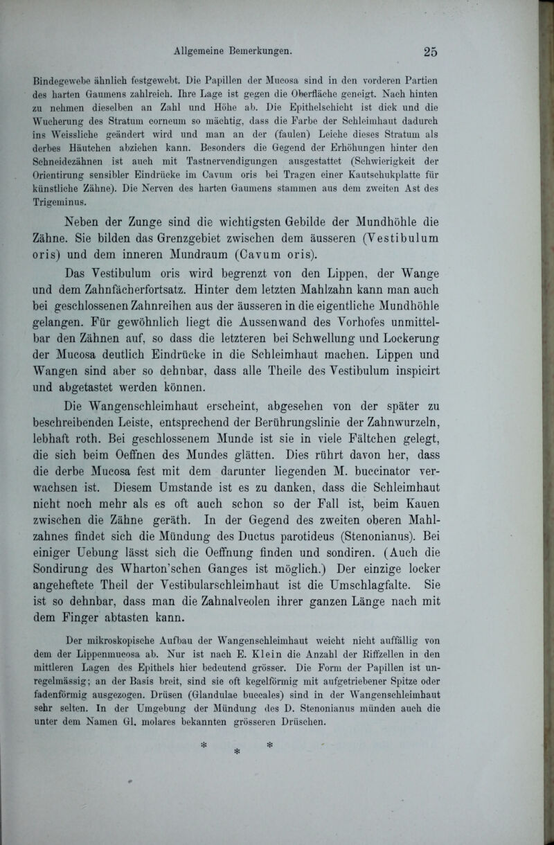 Bindegewebe ähnlich festgewebt. Die Papillen der Mucosa sind in den vorderen Partien des harten Gaumens zahlreich. Ihre Lage ist gegen die Oberfläche geneigt. Nach hinten zu nehmen dieselben an Zahl und Höhe ab. Die Epithelschicht ist dick und die Wucherung des Stratum corneum so mächtig, dass die Farbe der Schleimhaut dadurch ins Weissliche geändert wird und man an der (faulen) Leiche dieses Stratum als derbes Häutchen abziehen kann. Besonders die Gegend der Erhöhungen hinter den Schneidezähnen ist auch mit Tastnervendigungen ausgestattet (Schwierigkeit der Orientirung sensibler Eindrücke im Cavum oris bei Tragen einer Kautschukplatte für künstliche Zähne). Die Nerven des harten Gaumens stammen aus dem zweiten Ast des Trigeminus. Neben der Zunge sind die wichtigsten Gebilde der Mundhöhle die Zähne. Sie bilden das Grenzgebiet zwischen dem äusseren (Yestibulum oris) und dem inneren Mundraum (Cavum oris). Das Yestibulum oris wird begrenzt von den Lippen, der Wange und dem Zahnfächerfortsatz. Hinter dem letzten Mahlzahn kann man auch bei geschlossenen Zahnreihen aus der äusseren in die eigentliche Mundhöhle gelangen. Für gewöhnlich liegt die Aussenwand des Yorhofes unmittel- bar den Zähnen auf, so dass die letzteren bei Schwellung und Lockerung der Mucosa deutlich Eindrücke in die Schleimhaut machen. Lippen und Wangen sind aber so dehnbar, dass alle Theile des Yestibulum inspicirt und abgetastet werden können. Die Wangenschleimhaut erscheint, abgesehen von der später zu beschreibenden Leiste, entsprechend der Berührungslinie der Zahnwurzeln, lebhaft roth. Bei geschlossenem Munde ist sie in viele Fältchen gelegt, die sich beim Oeffnen des Mundes glätten. Dies rührt davon her, dass die derbe Mucosa fest mit dem darunter liegenden M. buccinator ver- wachsen ist. Diesem Umstande ist es zu danken, dass die Schleimhaut nicht noch mehr als es oft auch schon so der Fall ist, beim Kauen zwischen die Zähne geräth. In der Gegend des zweiten oberen Mahl- zahnes findet sich die Mündung des Ductus parotideus (Stenonianus). Bei einiger Uebung lässt sich die Oeffnung finden und sondiren. (Auch die Sondirung des Wharton’sehen Ganges ist möglich.) Der einzige locker angeheftete Theil der Yestibularschleimhaut ist die Umschlagfalte. Sie ist so dehnbar, dass man die Zahnalveolen ihrer ganzen Länge nach mit dem Finger abtasten kann. Der mikroskopische Aufbau der Wangenschleimhaut weicht nicht auffällig von dem der Lippenmueosa ab. Nur ist nach E. Klein die Anzahl der Riffzellen in den mittleren Lagen des Epithels hier bedeutend grösser. Die Form der Papillen ist un- regelmässig; an der Basis breit, sind sie oft kegelförmig mit aufgetriebener Spitze oder fadenförmig ausgezogen. Drüsen (Glandulae buccales) sind in der Wangenschleimhaut sehr selten. In der Umgebung der Mündung des D. Stenonianus münden auch die unter dem Namen Gl. molares bekannten grösseren Drüschen.