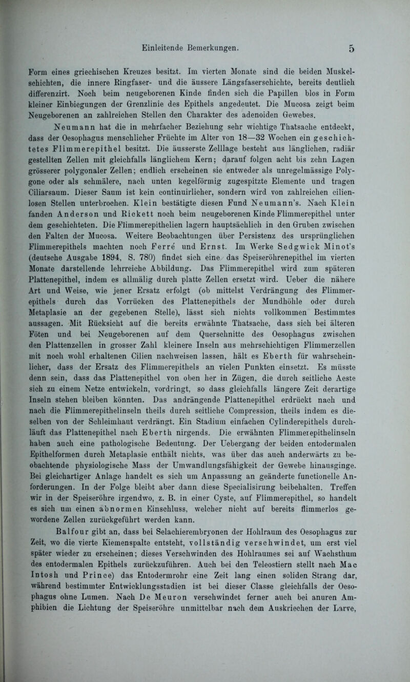 Form eines griechischen Kreuzes besitzt. Im vierten Monate sind die beiden Muskel- Schichten, die innere Ringfaser- und die äussere Längsfaserschichte, bereits deutlich differenzirt. Noch beim neugeborenen Kinde finden sieh die Papillen blos in Form kleiner Einbiegungen der Grenzlinie des Epithels angedeutet. Die Mucosa zeigt beim Neugeborenen an zahlreichen Stellen den Charakter des adenoiden Gewebes. Neumann hat die in mehrfacher Beziehung sehr wichtige Thatsaehe entdeckt, dass der Oesophagus menschlicher Früchte im Alter von 18—32 Wochen ein geschich- tetes Flimmerepithel besitzt. Die äusserste Zelllage besteht aus länglichen, radiär gestellten Zellen mit gleichfalls länglichem Kern; darauf folgen acht bis zehn Lagen grösserer polygonaler Zellen; endlich erscheinen sie entweder als unregelmässige Poly- gone oder als schmälere, nach unten kegelförmig zugespitzte Elemente und tragen Ciliarsaum. Dieser Saum ist kein continuirlieher, sondern wird von zahlreichen cilien- losen Stellen unterbrochen. Klein bestätigte diesen Fund Neumann’s. Nach Klein fanden Anderson und Rickett noch beim neugeborenen Kinde Flimmerepithel unter dem geschichteten. Die Flimmerepithelien lagern hauptsächlich in den Gruben zwischen den Falten der Mucosa. Weitere Beobachtungen über Persistenz des ursprünglichen Flimmerepithels machten noch Ferre und Ernst. Im Werke Sedgwick Minot’s (deutsche Ausgabe 1894, S. 780) findet sich eine das Speiseröhrenepithel im vierten Monate darstellende lehrreiche Abbildung. Das Flimmerepithel wird zum späteren Plattenepithel, indem es allmälig durch platte Zellen ersetzt wird. Ueber die nähere Art und Weise, wie jener Ersatz erfolgt (ob mittelst Verdrängung des Flimmer- epithels durch das Vorrücken des Plattenepithels der Mundhöhle oder durch Metaplasie an der gegebenen Stelle), lässt sieh nichts vollkommen Bestimmtes aussagen. Mit Rücksicht auf die bereits erwähnte Thatsaehe, dass sieh bei älteren Föten und bei Neugeborenen auf dem Querschnitte des Oesophagus zwischen den Plattenzellen in grosser Zahl kleinere Inseln aus mehrschichtigen Flimmerzellen mit noch wohl erhaltenen Cilien nach weisen lassen, hält es Eberth für wahrschein- licher, dass der Ersatz des Flimmerepithels an vielen Punkten einsetzt. Es müsste denn sein, dass das Plattenepithel von oben her in Zügen, die durch seitliche Aeste sich zu einem Netze entwickeln, vordringt, so dass gleichfalls längere Zeit derartige Inseln stehen bleiben könnten. Das andrängende Plattenepithel erdrückt nach und nach die Flimmerepithelinseln theils durch seitliche Compression, theils indem es die- selben von der Schleimhaut verdrängt. Ein Stadium einfachen Cylinderepithels durch- läuft das Plattenepithel nach Eberth nirgends. Die erwähnten Flimmerepithelinseln haben auch eine pathologische Bedeutung. Der Uebergang der beiden entodermalen Epithelformen durch Metaplasie enthält nichts, was über das auch anderwärts zu be- obachtende physiologische Mass der Umwandlungsfähigkeit der Gewebe hinausginge. Bei gleichartiger Anlage handelt es sich um Anpassung an geänderte funetionelle An- forderungen. In der Folge bleibt aber dann diese Speeialisirung beibehalten. Treffen wir in der Speiseröhre irgendwo, z. B. in einer Cyste, auf Flimmerepithel, so handelt es sich um einen abnormen Einschluss, welcher nicht auf bereits flimmerlos ge- wordene Zellen zurückgeführt werden kann. Balfour gibt an, dass bei Selachierembryonen der Hohlraum des Oesophagus zur Zeit, wo die vierte Kiemen spalte entsteht, vollständig verschwindet, um erst viel später wieder zu erscheinen; dieses Verschwinden des Hohlraumes sei auf Wachsthum des entodermalen Epithels zurückzuführen. Auch bei den Teleostiern stellt nach Mac Intosh und Prince) das Entodermrohr eine Zeit lang einen soliden Strang dar, während bestimmter Entwicklungsstadien ist bei dieser Classe gleichfalls der Oeso- phagus ohne Lumen. Nach De Meuron verschwindet ferner auch bei anuren Am- phibien die Lichtung der Speiseröhre unmittelbar nach dem Auskriechen der Larve,