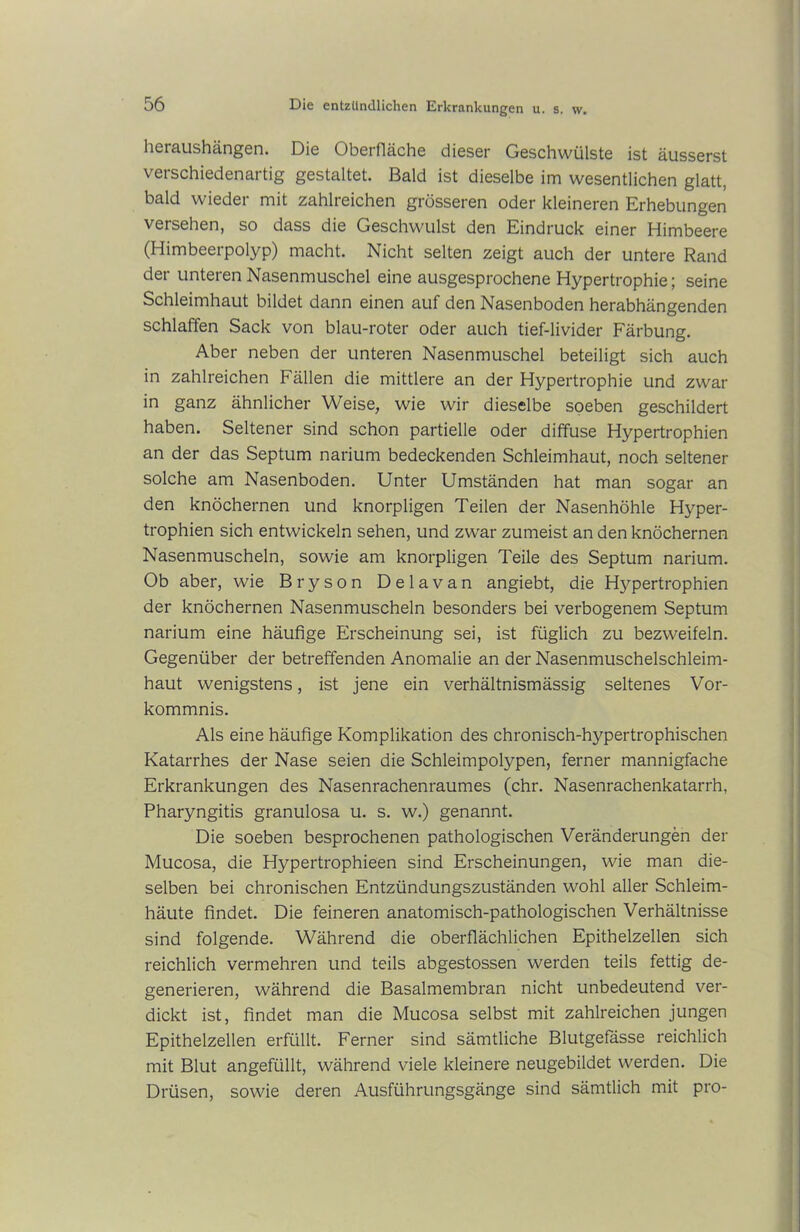 hcraushängen. Di© Oberfläche dieser Geschwülste ist äusserst verschiedenartig gestaltet. Bald ist dieselbe im wesentlichen glatt, bald wieder mit zahlreichen grösseren oder kleineren Erhebungen versehen, so dass die Geschwulst den Eindruck einer Himbeere (Himbeerpolyp) macht. Nicht selten zeigt auch der untere Rand der unteren Nasenmuschel eine ausgesprochene Hypertrophie; seine Schleimhaut bildet dann einen auf den Nasenboden herabhängenden schlaffen Sack von blau-roter oder auch tief-livider Färbung. Aber neben der unteren Nasenmuschel beteiligt sich auch in zahlreichen Fällen die mittlere an der Hypertrophie und zwar in ganz ähnlicher Weise, wie wir dieselbe soeben geschildert haben. Seltener sind schon partielle oder diffuse Hypertrophien an der das Septum narium bedeckenden Schleimhaut, noch seltener solche am Nasenboden. Unter Umständen hat man sogar an den knöchernen und knorpligen Teilen der Nasenhöhle Hyper- trophien sich entwickeln sehen, und zwar zumeist an den knöchernen Nasenmuscheln, sowie am knorpligen Teile des Septum narium. Ob aber, wie Bryson Delavan angiebt, die Hj^pertrophien der knöchernen Nasenmuscheln besonders bei verbogenem Septum narium eine häufige Erscheinung sei, ist füglich zu bezweifeln. Gegenüber der betreffenden Anomalie an der Nasenmuschelschleim- haut wenigstens, ist jene ein verhältnismässig seltenes Vor- kommnis. Als eine häufige Komplikation des chronisch-hypertrophischen Katarrhes der Nase seien die Schleimpolypen, ferner mannigfache Erkrankungen des Nasenrachenraumes (ehr. Nasenrachenkatarrh, Pharyngitis granulosa u. s. w.) genannt. Die soeben besprochenen pathologischen Veränderungen der Mucosa, die Hypertrophieen sind Erscheinungen, wie man die- selben bei chronischen Entzündungszuständen wohl aller Schleim- häute findet. Die feineren anatomisch-pathologischen Verhältnisse sind folgende. Während die oberflächlichen Epithelzellen sich reichlich vermehren und teils abgestossen werden teils fettig de- generieren, während die Basalmembran nicht unbedeutend ver- dickt ist, findet man die Mucosa selbst mit zahlreichen jungen Epithelzellen erfüllt. Ferner sind sämtliche Blutgefässe reichlich mit Blut angefüllt, während viele kleinere neugebildet werden. Die Drüsen, sowie deren Ausführungsgänge sind sämtlich mit pro-