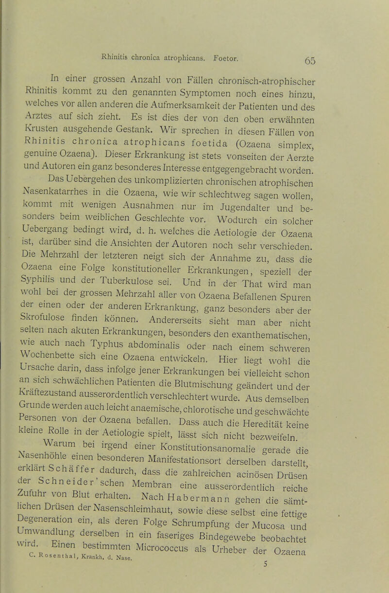 In einer grossen Anzahl von Fällen chronisch-atrophischer Rhinitis kommt zu den genannten Symptomen noch eines hinzu, welches vor allen anderen die Aufmerksamkeit der Patienten und des Aiztes auf sich zieht. Es ist dies der von den oben erwähnten Kt usten ausgehende Gestank. Wir sprechen in diesen Fällen von Rhinitis chronica atrophicans foetida (Ozaena simplex, genuine Ozaena). Dieser Erkrankung ist stets vonseiten der Aerzte und Autoien ein ganz besonderes Interesse entgegengebracht worden. Das Uebergehen des unkomplizierten chronischen atrophischen Nasenkatanhes in die Ozaena, wie wir schlechtweg sagen wollen, kommt mit wenigen Ausnahmen nur im Jugendalter und be- sonders beim weiblichen Geschlechte vor. Wodurch ein solcher Uebergang bedingt wird, d. h. welches die Aetiologie der Ozaena ist, darüber sind die Ansichten der Autoren noch sehr verschieden. Die Mehrzahl der letzteren neigt sich der Annahme zu, dass die Ozaena eine Folge konstitutioneller Erkrankungen, speziell der Syphilis und der Tuberkulose sei. Und in der That wird man wohl bei der grossen Mehrzahl aller von Ozaena Befallenen Spuren der einen oder der anderen Erkrankung, ganz besonders aber der Skrofulöse finden können. Andererseits sieht man aber nicht selten nach akuten Erkrankungen, besonders den exanthematischen, wie auch nach Typhus abdominalis oder nach einem schweren ochenbette sich eine Ozaena entwickeln. Hier liegt wohl die Ursache dann, dass infolge jener Erkrankungen bei vielleicht schon an sich schwächlichen Patienten die Blutmischung geändert und der l aftezustand ausserordentlich verschlechtert wurde. Aus demselben runde werden auch leicht anaemische, chlorotische und geschwächte Personen von der Ozaena befallen. Dass auch die Heredität keine kleine Rolle m der Aetiologie spielt, lässt sich nicht bezweifeln. \t ..ym bel ,rgend einer Konstitutionsanomalie gerade die Nasenhöhle einen besonderen Manifestationsort derselben darstellt, erklärt Schaffer dadurch, dass die zahlreichen acinosen Drüsen er Schneider sehen Membran eine ausserordentlich reiche Zufuhr von Blut erhalten. Nach Habermann gehen die sämt- hchen Drusen der Nasenschleimhaut, sowie diese selbst eine fettige Degeneration ein, als deren Folge Schrumpfung der Mucosa und mwandlung derselben in ein faseriges Bindegewebe beobachtet wird. Einen bestimmten Micrococcus als Urheber der Ozaena c. Rosenthal, Krankh. d. Nase. Seiend