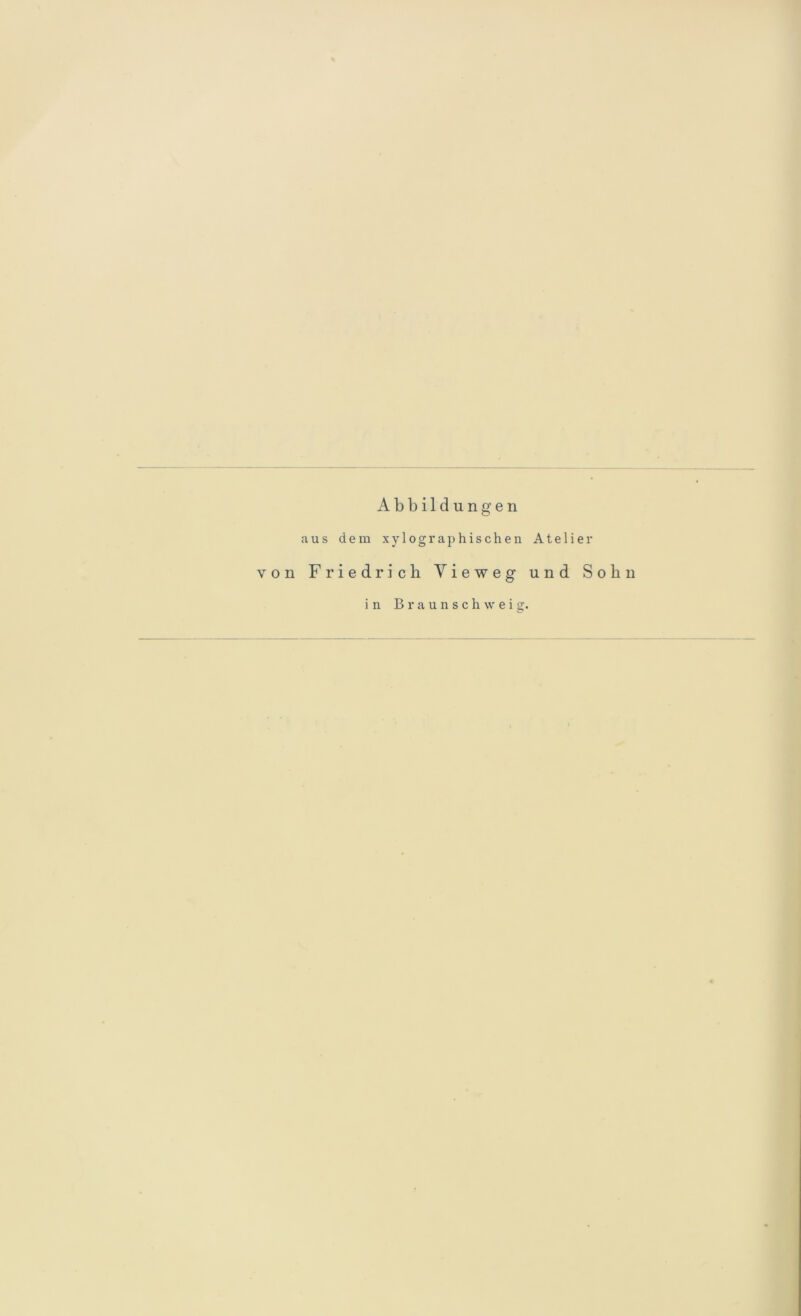 Abbildungen aus dem xylographischen Atelier von Friedrich Yieweg und Sohn