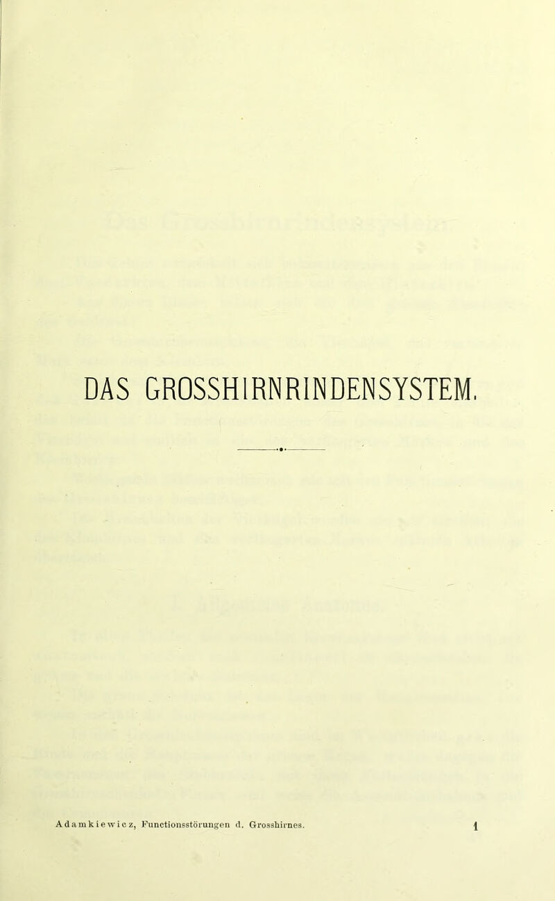 Adamkiewicz, Punctionsstörungen d. Grosshiines.