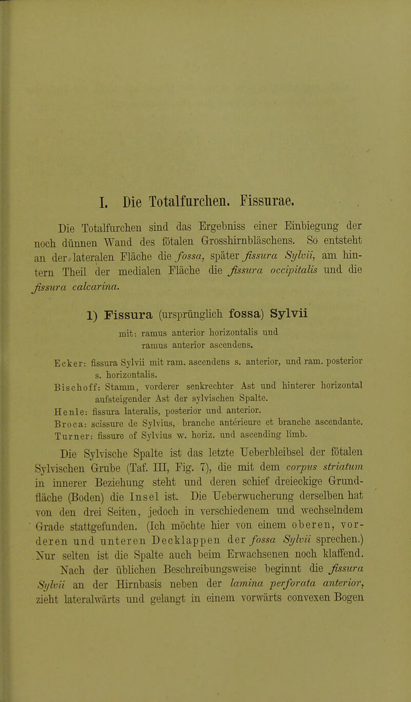 1. Die Totalfurclieii. Fissurae. Die Totalfurclien sind das Bigebniss einer Einbiegung der noch dünnen Wand des fötalen Grosshirnbläschens. So entstellt an der. lateralen Fläche die fossa, später j^sswra Sylvü, am hin- tern Theil der medialen Fläche die ßssura occipitalis und die ßssura calcarina. 1) Fissura (ursprünghch fossa) Sylvü mit: ramus anterior horizontalis und ramus anterior ascendens. Ecker: fissura Sylvü mit ram. ascendens s. anterior, und ram. posterior s. horizontalis. Bischoff: Stamm, vorderer senkrechter Ast und hinterer horizontal aufsteigender Ast der sylvischen Spalte. Henle: fissui-a lateralis, posterior und anterior. Broca: scissure de Sylvins, brauche anterieui-e et brauche ascendante. Turner: fissure of Sylvins w. horiz. und ascending limb. Die Sylvische Spalte ist das letzte Ueberbleibsel der fötalen Sylvischen Grube (Taf. III, Fig. 7), die mit dem corpus striatum in innerer Beziehung steht und deren schief dreieckige Grund- fläche (Boden) die Insel ist. Die TJeberwucherung derselben hat von den drei Seiten, jedoch in verschiedenem und wechselndem ■ Grade stattgefunden. (Ich möchte hier von emem oberen, vor- deren und unteren Decklappen der fossa Sylvü sprechen.) Nur selten ist die Spalte auch beim Erwachsenen noch klaffend. Nach der übhchen Beschreibimgsweise begiunt die ßssura Sylvü an der Hirnbasis neben der lamina perforata anterior, zieht lateralwärts und gelangt in einem vorwärts convexen Bogen