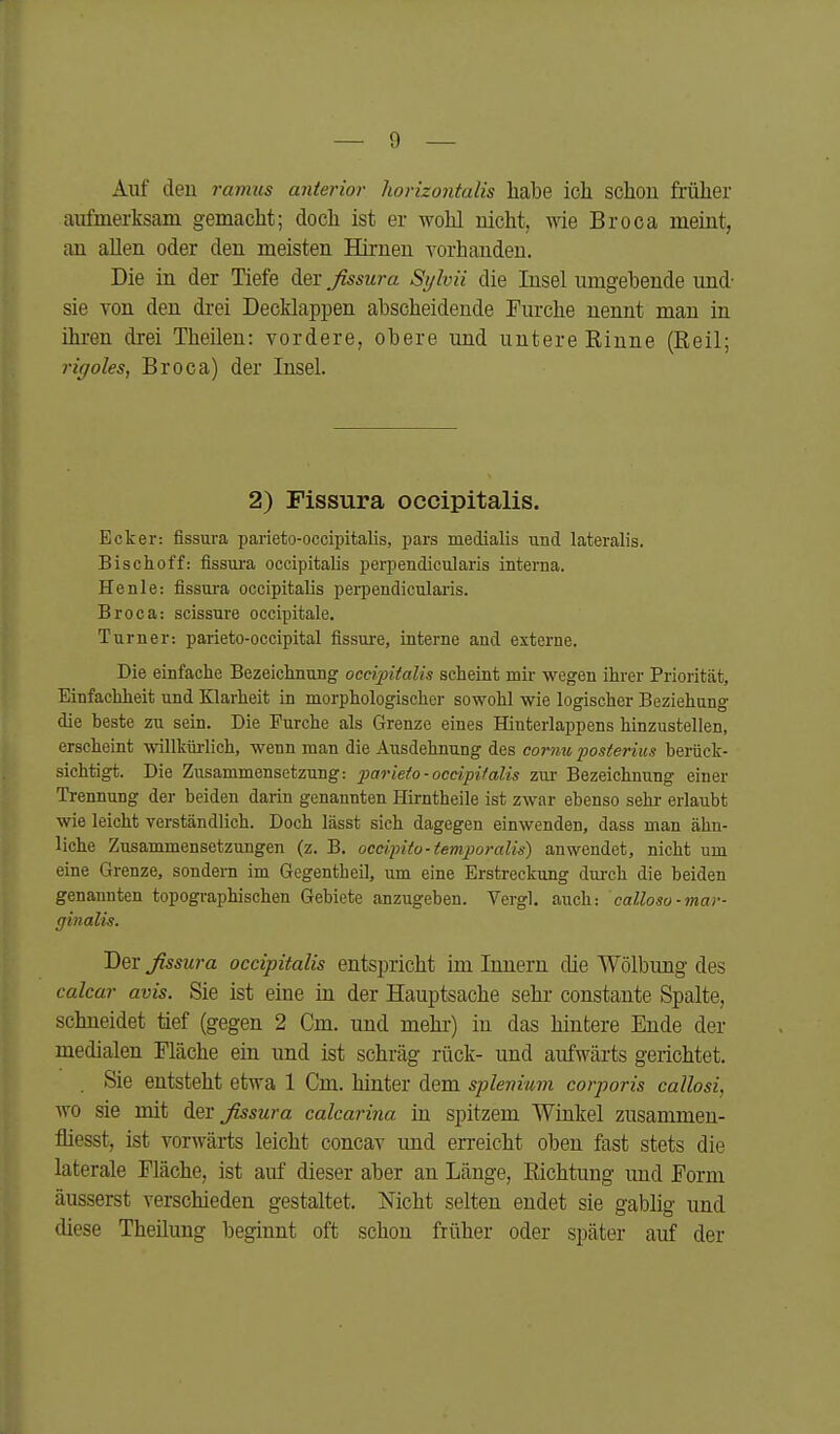 Auf deu ramus anterior horizontalis habe icll schou frülier aufmerksam gemacht; doch ist er wohl nicht, wie Broca meint, an allen oder den meisten Hirnen vorhanden. Die in der Tiefe der ßssura Si/lvü die Insel umgebende und' sie von den drei Decklappen abscheidende Furche nennt man in ihren drei Theilen: vordere, obere und untere Rinne (Reil; rigoles, Broca) der Insel. 2) Fissura occipitalis. Ecker: fissura parieto-occipitalis, pars medialis und lateralis. Bischoff: fissura occipitalis perpendicularis interna. Henle: fissura occipitalis perpendiculaiis. Broca: scissure occipitale. Turner: parieto-occipital fissui-e, interne and externe. Die einfache Bezeichnung occipitalis scheint mir wegen ihrer Priorität, Einfachheit und Klarheit in morphologischer sowohl wie logischer Beziehung die beste zu sein. Die Furche als Grenze eines Hinterlappens hinzustellen, erscheint willkürlich, wenn man die Ausdehnung des corriu posterius berück- sichtigt. Die Zusammensetzung: parieto-occipitalis zur Bezeichnung einer Trennung der beiden daiin genannten Hirntheile ist zwar ebenso sehr erlaubt wie leicht verständlich. Doch lässt sich dagegen einwenden, dass man ähn- liche Zusammensetzungen (z. B. occipito-temporalis) anwendet, nicht um eine Grenze, sondern im Gegentheil, um eine Erstreckung dm-ch die beiden genannten topographischen Gebiete anzugeben. Vergl, auch: calloso-mar- ginalis. Der ßssura occipitalis entspricht im Innern die Wölbung des calcar avis. Sie ist eine in der Hauptsache sehr- constante Spalte, schneidet tief (gegen 2 Cm. und mehr) in das hintere Ende der medialen Fläche ein und ist schräg rück- und aufwärts gerichtet. . Sie entsteht etwa 1 Cm. hinter dem splenium corporis callosi, wo sie mit der ßssura calcarina in spitzem Winkel zusammen- fliesst, ist vorwärts leicht concav imd erreicht oben fast stets die laterale Fläche, ist auf dieser aber an Länge, Richtung und Form äusserst verschieden gestaltet. Nicht selten endet sie gabiig und diese Theilung beginnt oft schon früher oder später auf der