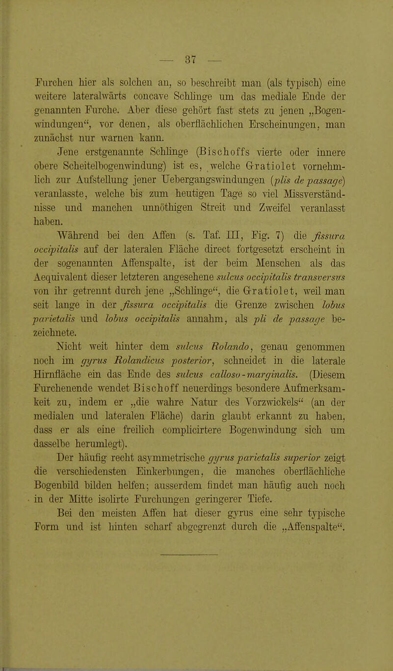 Furchen hier als solchen au, so beschreibt man (als typisch) eine weitere lateralwäi-ts concave Schlinge um das mediale Ende der genannten Furche. Aber diese gehört fast stets zu jenen „Bogen- windungen, vor denen, als oberflächhchen Erscheinungen, man zimächst nur warnen kann. Jene erstgenannte Schlinge (Bischoffs vierte oder innere obere Scheitelbogenwiadung) ist es, welche G-ratiolet vornehm- lich zui' Aufstellung jener TJebergangswindungen [plis de passage) veranlasste, welche bis zum heutigen Tage so viel Missverständ- nisse und manchen unnöthigen Streit und Zweifel veranlasst haben. Während bei den Affen (s. Taf. m, Fig. 7) die ßssta-a occipitalis auf der lateralen Fläche direet fortgesetzt erscheiut in der sogenannten Aflenspalte, ist der beim Menschen als das Aequivalent dieser letzteren angesehene sulcus occipitalis transversvs von ihr getrennt durch jene „Schlinge, die G-ratiolet, weil man seit lange in der ßssura occipitalis die Grenze zwischen lobus parietalis und lobus occipitalis annahm, als pli de passage be- zeichnete. Nicht weit hinter dem sulcus Rolando, genau genommen noch im ggrus Rolandicus posterior, schneidet in die laterale Hirnfläche ein das Ende des sulcus calloso-marginalis. (Diesem Furchenende wendet Bischoff neuerdings besondere Aufinerksam- keit zu, indem er „die wahre Natur des Yorzwickels (an der medialen und lateralen Fläche) darin glaubt erkannt zu haben, dass er als eine freihch complicirtere Bogenwindung sich um dasselbe herumlegt). Der häufig recht asymmetrische gyrus parietalis superior zeigt die verschiedensten Emkerbungen, die manches oberflächhche Bogenbüd bilden helfen; ausserdem findet man häufig auch noch in der Mitte isolirte Furchungen geringerer Tiefe. Bei den meisten Affen hat dieser gyrus eine sehr typische Form und ist hinten scharf abgegrenzt durch die „Affenspalte.