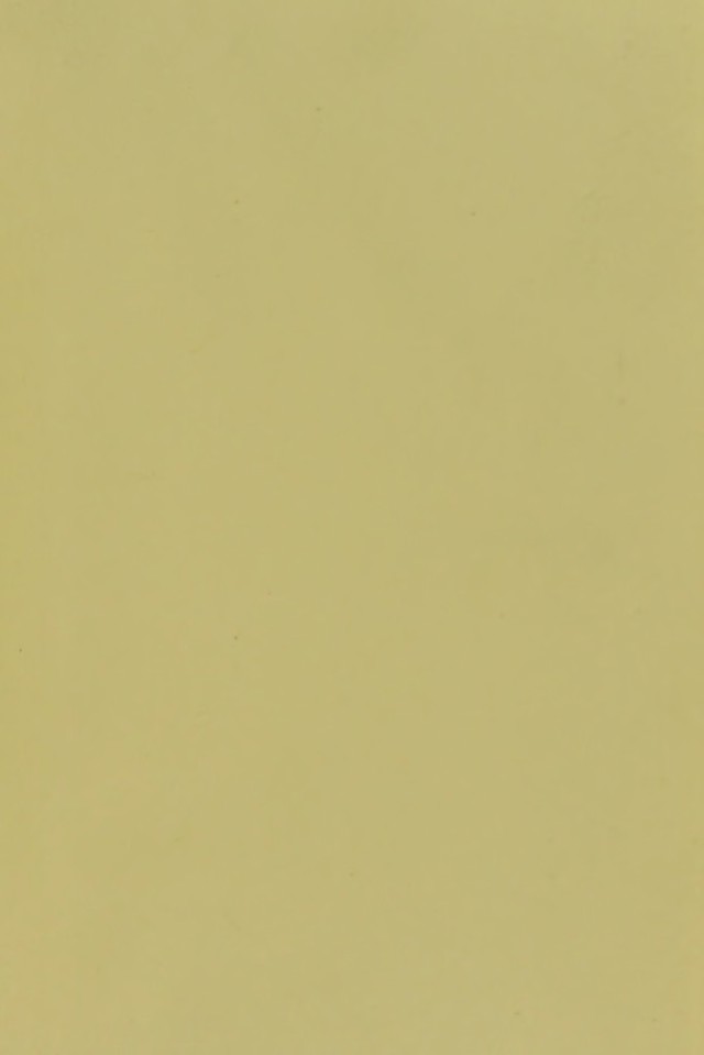 digitised image 3