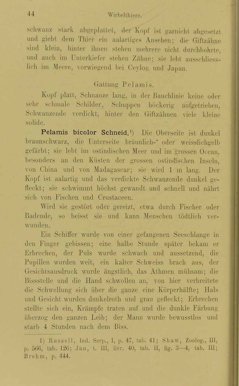 Wirbel Iii ifMT. scliwaii/ stark al)^c|)la(.lcl, der Kopf isl, iianiidii aJjjicsel/i, und giebl, dorn T\\\ov ein aalarl.i.gcs AiiseJien; die Giftzäiine sind kloiii, hinicr ihiirii sl.eliPii iiieln-oro niclit diirclibohrto, iiiul auch im ITiilei'ldid'ci' sichoii Zäliiio; sie lebt aussfldioss- lit'h im Meere, vorwieiiciid hei Ceylon und Japan. Gattung' Pol amis. Kupf platt, Schiiau/e lang, in der J3aiiclilinie keine oder sehr st'limale Scliiidej', Schuppen liückerig aufgetrieben, Seliwanzendc verdickt, Linter den Ginzälmen \iele Ideine solide. Pelamis bicolor Schneid, Die Oberseite ist dunkel braunscliwarz, tlie Unterseite bräunlich-* oder weisslichgelb gefärbt; sie lebt im ostindischen Meer und im grossen Ocean. besonders an den Küsten der grossen ostindischen Inseln, von China und von Madagascar; sie wird 1 m laue. Der Kopf ist aalartig und das verdickte Schwänzende dunkel ge- fleckt; sie schwimmt höchst gewandt und schnell und nähit sich von Fischen und Crustaceen. AVird sie gestört oder gereizt, etwa durch Fischer oder Badende, so beisst sie und kann Menschen tödthch ver- wunden. Ein Schiffer wurde von einer gefangenen Seeschlange in den Finger gebissen; eine halbe Stunde später bekam er Erbrechen, der Puls wurde schwach und aussetzend, die Pupillen wurden weit, ein kalter Schweiss brach aus, der Gesichtsausdruck wurde ängsthch, das Athmen mühsam; die Bissstelle und die Hand schwollen an, von hier verbreitete die Schwellung sich über die ganze eine Körperhälfte; Hals und Gesicht wurden dunkelroth und grau gelleckt; Erbrechen stellte sich ein, Krämpfe traten auf und die dunkle Färbung überzog den ganzen Leib; der Mann wurde l)ewnsstlos um! stai'b 4 Stunden nach dem Biss. 1) Russell, lud. Sür|)., 1, p. 47, Uib. 41; Shaw, Zoolog., III. p. üGB, tab. 126; Jan, t. III, livr. 40, tab. 11, lig. 3—4, lab. III: B roll in, p. 444-.