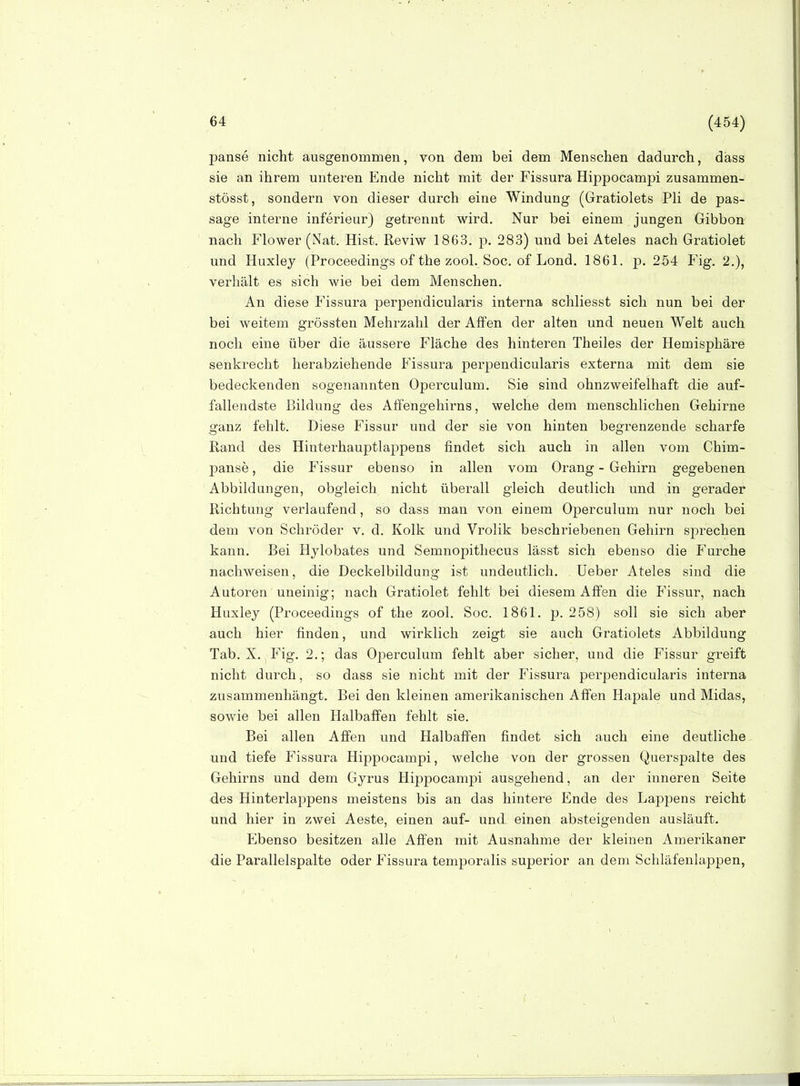 panse nicht ausgenommen, von dem bei dem Menschen dadurch, däss sie an ihrem unteren Ende nicht mit der Fissura HijDpocampi zusammen- stösst, sondern von dieser durch eine Windung (Gratiolets Pli de pas- sage interne inferieur) getrennt wird. Nur bei einem jungen Gibbon nach Flower (Nat. Hist. Reviw 1863. p. 283) und bei Ateles nach Gratiolet und Huxley (Proceedings of the zool. Soc. of Lond. 1861. p. 254 Fig. 2.), verhält es sich wie bei dem Menschen. An diese Fissura perpendicularis interna schliesst sich nun bei der bei weitem grössten Mehrzahl der Affen der alten und neuen Welt auch noch eine über die äussere Fläche des hinteren Theiles der Hemisphäre senkrecht herabziehende Fissura perpendicularis externa mit dem sie bedeckenden sogenannten Operculum. Sie sind ohnzweifelhaft die auf- fallendste ßiklung des Affengehirns, welche dem menschhchen Gehirne ganz fehlt. Diese Fissur und der sie von hinten begrenzende scharfe Rand des Hinterhauptlappens findet sich auch in allen vom Chim- panse, die Fissur ebenso in allen vom Orang - Gehirn gegebenen Abbildungen, obgleich nicht überall gleich deutlich und in gerader Richtung verlaufend, so dass man von einem Operculum nur noch bei dem von Schröder v. d. Kolk und Vrolik beschriebenen Gehirn sprechen kann. Bei Hylobates und Semnopithecus lässt sich ebenso die Furche nachweisen, die Deckelbildung ist undeutlich, lieber Ateles sind die Autoren uneinig; nach Gratiolet fehlt bei diesem Affen die Fissur, nach Huxley (Proceedings of the zool. Soc. 1861. p. 258) soll sie sich aber auch hier finden, und wirklich zeigt sie auch Gratiolets Abbildung Tab. X, Fig. 2.; das Operculum fehlt aber sicher, und die Fissur greift nicht durch, so dass sie nicht mit der Fissura perpendicularis interna zusammenhängt. Bei den kleinen amerikanischen Affen Hapale und Midas, sowie bei allen Halbaffen fehlt sie. Bei allen Affen und Halbaffen findet sich auch eine deutliche und tiefe Fissura Hippocampi, welche von der grossen Querspalte des Gehirns und dem Gyrus HippocamjDi ausgehend, an der inneren Seite des Hinterlappens meistens bis an das hintere Ende des Lappens reicht und hier in zwei Aeste, einen auf- und einen absteigenden ausläuft. Ebenso besitzen alle Affen mit Ausnahme der kleinen Amerikaner die Parallelspalte oder Fissura temporalis superior an dem Schläfenlappen,