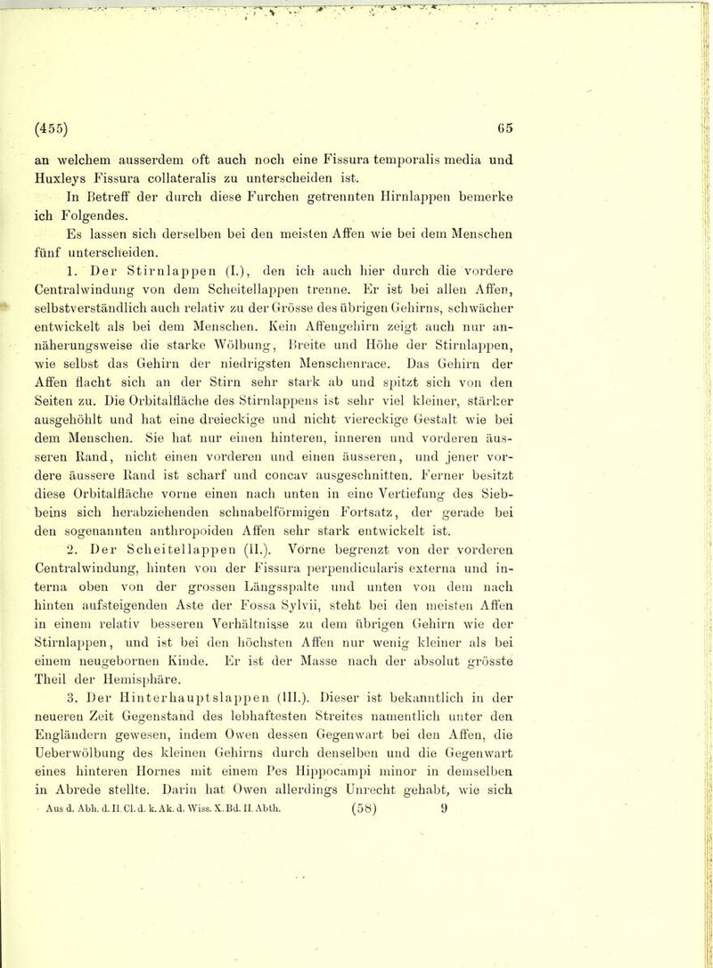 an welchem ausserdem oft auch noch eine Fissura temporalis media und Huxleys Fissura collateralis zu unterscheiden ist. In Betreff der durch diese Furchen getrennten HirnlapiDen bemerke ich Folgendes. - , ^ , Es lassen sich derselben bei den meisten Affen wie bei dem Menschen fünf unterscheiden. 1. Der Stirnlappen (I.), den ich auch hier durch die vordere Centraiwindung von dem Scheitellappen trenne. Er ist bei allen Affen, selbstverständlich auch relativ zu der Grösse des übrigen Gehirns, schwächer entwickelt als bei dem Menschen. Kein Affengehirn zeigt auch nur an- näherungsweise die starke Wölbung, Breite und Höhe der Stirnlappen, wie selbst das Gehirn der niedrigsten Menschenrace. Das Gehirn der Affen flacht sich an der Stirn sehr stark ab und spitzt sich von den Seiten zu. Die Orbitalfläche des Stirnlappens ist sehr viel kleiner, stärker ausgehöhlt und hat eine dreieckige und nicht viereckige Gestalt wie bei dem Menschen. Sie hat nur einen hinteren, inneren und vorderen äus- seren Rand, nicht einen vorderen und einen äusseren, und jener vor- dere äussere Rand ist scharf und concav ausgeschnitten. Ferner besitzt diese Orbitalfläche vorne einen nach unten in eine Vertiefung des Sieb- beins sich herabziehenden schnabelförmigen Fortsatz, der gerade bei den sogenannten anthropoiden Affen sehr stark entwickelt ist. 2. Der Scheitellappen (IL). Vorne begrenzt von der vorderen Centraiwindung, hinten von der Fissura perpendicularis externa und in- terna oben von der grossen Längsspalte und unten von dem nach hinten aufsteigenden Aste der Fossa Sylvii, steht bei den meisten Affen in einem relativ besseren Verhältnisse zu dem übrigen Gehirn wie der Stirnlappen, und ist bei den höchsten Affen nur wenig kleiner als bei einem neugebornen Kinde. Er ist der Masse nach der absolut grösste Theil der Hemisphäre. 3. Der Hinterhauptslappen (HL). Dieser ist bekanntlich in der neueren Zeit Gegenstand des lebhaftesten Streites namentlich unter den Engländern gewesen, indem Owen dessen Gegenwart bei den Affen, die Ueberwölbung des kleinen Gehirns durch denselben und die Gegenwart eines hinteren Hornes mit einem Pes Ilippocampi minor in demselben in Abrede stellte. Darin hat Owen allerdings Unrecht gehabt, wie sich Ausd. Abkd.II.Cl.d.k.Ak.d.Wiss.X.Bd.II.Abth. (5ö) 9