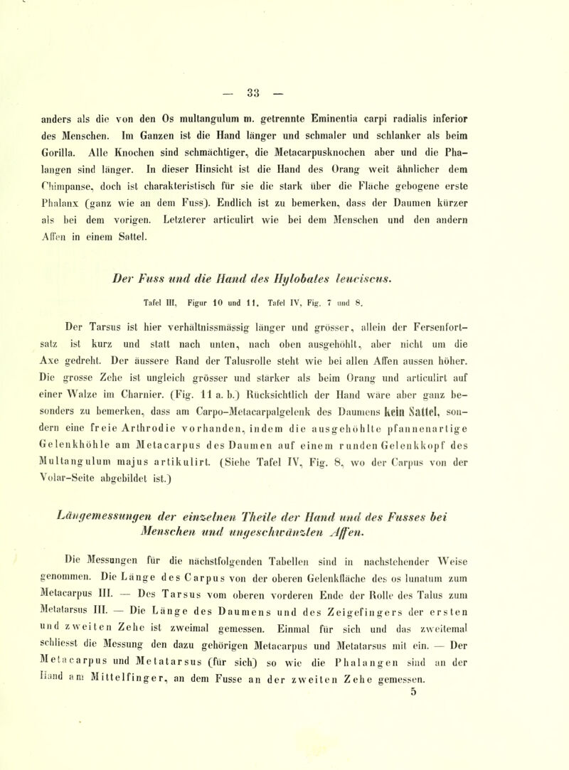 anders als die von den Os multangulum m. getrennte Eminentia carpi radialis inferior des Menschen. Im Ganzen ist die Hand länger und schmaler und schlanker als beim Gorilla. Alle Knochen sind schmachtiger, die Metacarpusknochen aber und die Pha- langen sind länger. In dieser Hinsicht ist die Hand des Drang weit ähnlicher dem Chimpanse, doch ist charakteristisch für sie die stark über die Fläche gebogene erste Phalanx (ganz wie an dem Fuss). Endlich ist zu bemerken, dass der Daumen kürzer als bei dem vorigen. Letzterer articulirt wie bei dem Menschen und den andern Aden in einem Sattel. Der Fuss und die Hand des Hylobates leuciscus. Tafel III, Figur 10 und 11. Tafel IV, Fig. 7 uiid 8. Der Tarsus ist hier verhältnissmässig länger und grösser, allein der Fersenfort- satz ist kurz und statt nach unten, nach oben ausgehöhlt, aber nicht um die Axe gedreht. Der äussere Rand der Talusrolle steht wie bei allen Alfen aussen höher. Die grosse Zehe ist ungleich grösser und stärker als beim Orang und articulirt auf einer Walze im Charnier. (Fig. IIa. b.) Rücksichtlich der Hand wäre aber ganz be- sonders zu bemerken, dass am Carpo-Metacarpalgelenk des Daumens keill Sattel, son- dern eine freie Arthrodie vorhanden, indem die ausgehöhlte pfannenartige Gelenkhöhle am Metacarpus des Daumen auf einem runden Gelenkkopf des Multangulum majus artikulirt. (Siehe Tafel IV, Fig. 8, wo der Carpus von der Volar-Seite abgebildet ist.) Längemessungen der einzelnen Theile der Hand und des Fusses hei Menschen und ungeschivanzteri Affen. Die Messungen für die nächstfolgenden Tabellen sind in nachstehender Weise genommen. Die Länge desCarpus von der oberen Gelenklläche des os lunatum zum Metacarpus IIL — Des Tarsus vom oberen vorderen Ende der Rolle des Talus zum Metatarsus IIL — Die Länge des Daumens und des Zeigefingers der ersten und zweiten Zehe ist zweimal gemessen. Einmal für sich und das zweitemal schliesst die Messung den dazu gehörigen Metacarpus und Metatarsus mit ein. — Der Metacarpus und Metatarsus (für sich) so wie die Phalangen sind an der Hand am Mittelfinger, an dem Fusse an der zweiten Zehe gemessen. 5