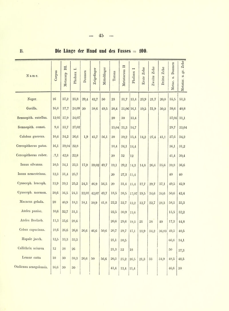 B. Die Länge der Hand und des Füsses = iOO. Name. Carpus Metacarp III. Phalanx I. Daumen Zeigefinger Mittelfinger Tarsus Metatarsus II Phalanx I Erste Zehe Zweite Zehe Dritte Zehe Metac. u. Daumen Metatar. u. gr. Zehe Neger. 16 37,2 23,8 29,4 42,7 50 23 31,7 13,4 23,9 21,7 1 20,8 55,5 51,3 Gorilla. 16,8 37,7 24,09 20 38,6 49,5 20,4 31,06 16,1 19,5 31,9 30,2 38,6 40,8 Semnopith. entellus. 12,03 37,9 24,07 20 30 13,4 37,03 31,1 Semnopith. comat. 9,4 33,7 27,02 13,04 31,3 14,7 29,7 33,04 Colobus guereza. 10,4 34,2 26,6 1,9 45,7 56,1 20 30,2 15,4 14,2 27,4 41,1 27,6 34,2 Cercopithecus patas. 16,1 39,04 22,8 18,4 34,1 14,4 36,1 31,2 Cercopithecus ruber. .7,1 42,8 22,8 20 32 12 41,4 30,4 Inuus silvanus. 10,5 34,1 23,5 17,9 39,02 49,7 19,1 29,2 14,3 14,8 26,6 35,6 39,8 36,6 Imius nemestrinus. 12,3 31,4 25,7 20 27,3 15,4 40 40 Cynoceph. leucoph. 13,9 39,1 25,2 24 3 46 9 56,5 20 31 4 17 7 Of) 7 37,1 49,5 Cynocepb. mormon. 20,6 3G,5 24,1 22,07 42,07 49,7 18,5 38,5 17,07 19,5 34,6 34,6 50,6 42,4 Macacus gelada. 20 40,9 18,1 18,1 80,9 41,8 90 0 32,7 12,2 12,7 00 7 28,3 58,1 33,3 Ateles panisc. 10,6 32,7 31,1 22,5 30,9 11,6 15,5 32,2 Ateles Beelzeb. 11,3 35,6 28,6 20,6 29,6 10,3 21 38 40 17,3 44,8 Cebus capuciuus. 18,6 26,6 26,6 26,6 46,6 50,6 20,7 29,7 17,1 18,9 34,2 36,03 49,3 40,5 Hapale jaccli. 12,5 33,3 33,3 21,1 30,5 66,6 34,1 Callitlirix sciurea 12 28 26 21,3 32 18 50 37,3 Lemur catta 10 30 38,3 26,6 50 56,6 20,3 25,2 16,5 21,3 33 34,9 48,3 48,5 41,4 13,4 11,4 46,6 30