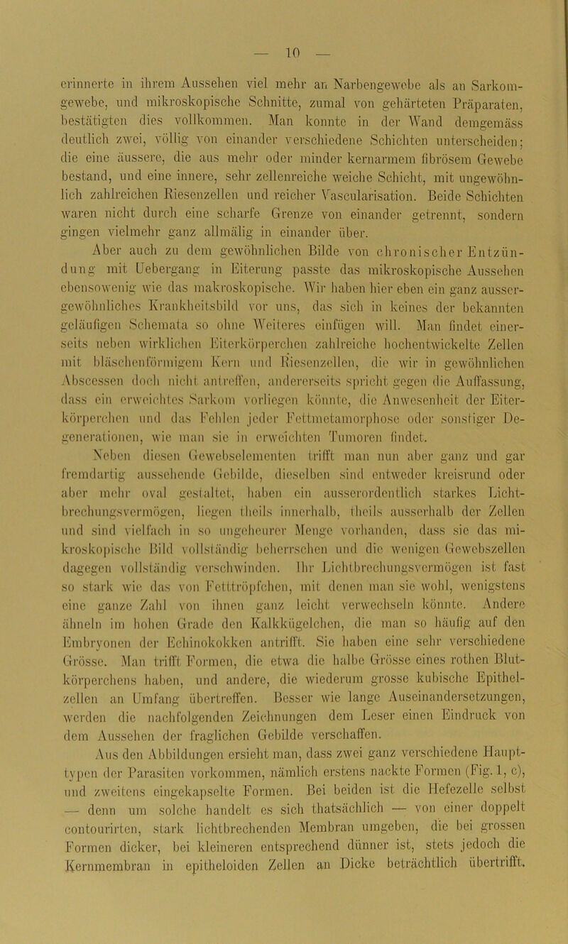 erinnerte in ihrem Aussehen viel mehr an Narbengewebe als an Sarkom- gewebe, und mikroskopische Schnitte, zumal von gehärteten Präparaten, bestätigten dies vollkommen. Man konnte in der Wand demgemäss deutlich zwei, völlig von einander verschiedene Schichten unterscheiden; die eine äussere, die aus mehr oder minder kernarmem fibrösem Gewebe bestand, und eine innere, sehr zellenreiche weiche Schicht, mit ungewöhn- lich zahlreichen Riesenzellen und reicher Vaseularisation. Beide Schichten waren nicht durch eine scharfe Grenze von einander getrennt, sondern gingen vielmehr ganz allmälig in einander über. Aber auch zu dem gewöhnlichen Bilde von chronischer Entzün- dung mit Uebergang in Eiterung passte das mikroskopische Aussehen ebensowenig wie das makroskopische. Wir haben hier eben ein ganz ausser- gewöhnlichcs Krankheitsbild vor uns, das sich in keines der bekannten geläufigen Schemata so ohne Weiteres einfiigen will. Man findet einer- seits neben wirklichen Eiterkörperchen zahlreiche hochentwickelte Zellen mit bläschenförmigem Kern und Riesonzellen, die wir in gewöhnlichen Abscessen doch nicht antreffen, andererseits spricht gegen die Auffassung, dass ein erweichtes Sarkom vorliegen könnte, die Anwesenheit der Eiter- körperchen und das Fehlen jeder Fettmetamorphose oder sonstiger De- generationen, wie man sic in erweichten Tumoren findet. Neben diesen Gewebselementen trifft man nun aber ganz und gar fremdartig aussehende Gebilde, dieselben sind entweder kreisrund oder aber mehr oval gestaltet, haben ein ausserordentlich starkes Licht- brechungsvermögen, liegen fheils innerhalb, tlieils ausserhalb der Zellen und sind vielfach in so ungeheurer Menge vorhanden, dass sic das mi- kroskopische Bild vollständig beherrschen und die wenigen Gewebszellen dagegen vollständig verschwinden. Ihr Lichtbrechungsvermögen ist fast so stark wie das von Fetttröpfchen, mit denen man sie wohl, wenigstens eine ganze Zahl von ihnen ganz leicht verwechseln könnte. Andere ähneln im hohen Grade den Kalkkügelchen, die man so häufig auf den Embryonen der Echinokokken antrifft. Sic haben eine sehr verschiedene Grösse. Man trifft Formen, die etwa die halbe Grösse eines rothen Blut- körperchens haben, und andere, die wiederum grosse kubische Epithel- zellen an Umfang übertreffen. Besser wie lange Auseinandersetzungen, werden die nachfolgenden Zeichnungen dem Leser einen Eindruck von dem Aussehen der fraglichen Gebilde verschaffen. Aus den Abbildungen ersieht man, dass zwei ganz verschiedene Haupt- typen der Parasiten Vorkommen, nämlich erstens nackte Formen (Fig. 1, c), und zweitens eingekapselte Formen. Bei beiden ist die Hefezelle selbst — denn um solche handelt es sich thatsächlich — von einer doppelt contourirten, stark lichtbrechenden Membran umgeben, die bei grossen Formen dicker, bei kleineren entsprechend dünner ist, stets jedoch die Kernmembran in epitheloiden Zellen an Dicke beträchtlich übertrifft.