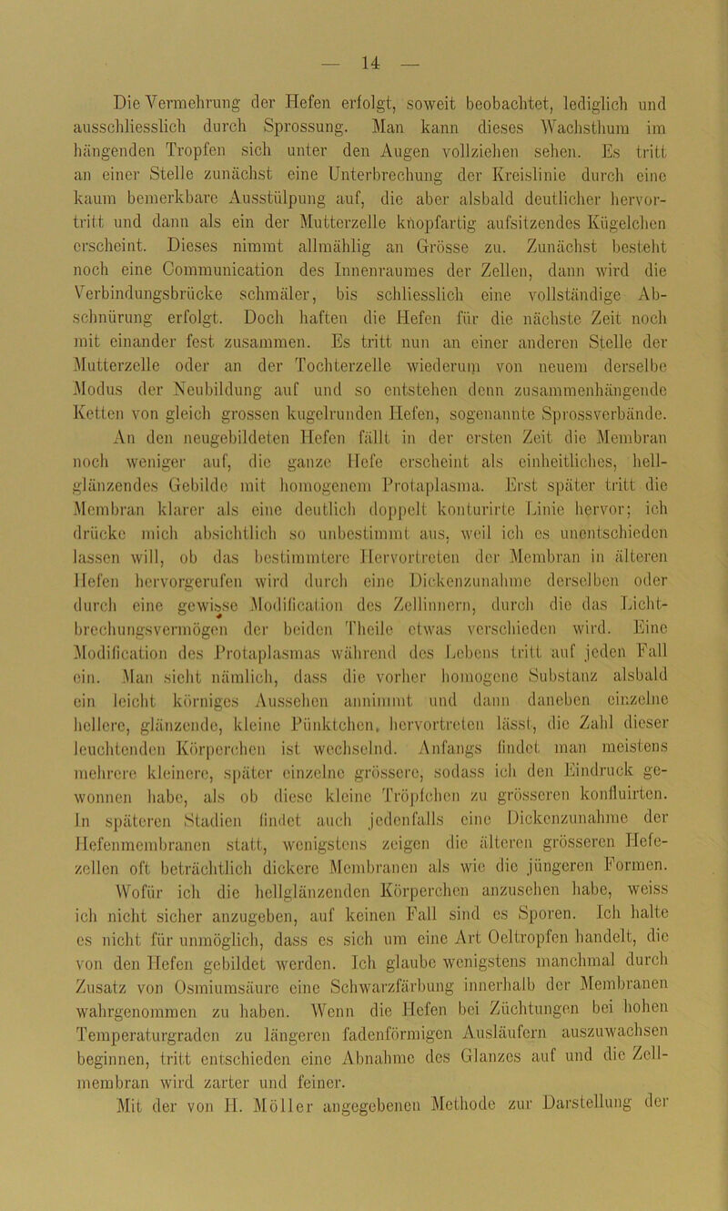 Die Vermehrung der Hefen erfolgt, soweit beobachtet, lediglich und ausschliesslich durch Sprossung. Man kann dieses Wachsthum im hängenden Tropfen sich unter den Augen vollziehen sehen. Es tritt an einer Stelle zunächst eine Unterbrechung der Kreislinie durch eine kaum bemerkbare Ausstülpung auf, die aber alsbald deutlicher hervor- tritt und dann als ein der Mutterzelle knopfartig aufsitzendes Kügelchen erscheint. Dieses nimmt allmählig an Grösse zu. Zunächst besteht noch eine Communication des Innenraumes der Zellen, dann wird die Verbindungsbrücke schmäler, bis schliesslich eine vollständige Ab- schnürung erfolgt. Doch haften die Hefen für die nächste Zeit noch mit einander fest zusammen. Es tritt nun an einer anderen Stelle der Mutterzelle oder an der Tochterzelle wiederum von neuem derselbe Modus der Neubildung auf und so entstehen denn zusammenhängende Ketten von gleich grossen kugelrunden Hefen, sogenannte Sprossverbände. An den neugebildeten Hefen fällt in der ersten Zeit die Membran noch weniger auf, die ganze Hefe erscheint als einheitliches, hell- glänzendes Gebilde mit homogenem Protaplasma. Erst später tritt die Membran klarer als eine deutlich doppelt konturirte Linie hervor; ich drücke mich absichtlich so unbestimmt aus, weil ich es unentschieden lassen will, ob das bestimmtere Hervortreten der Membran in älteren Hefen hervorgerufen wird durch eine Dickenzunahme derselben oder durch eine gewisse Modification des Zellinnern, durch die das Licht- brechungsvermögen der beiden Theile etwas verschieden wird. Eine Modification des Protaplasmas während des Lebens tritt auf jeden Fall ein. Man sieht nämlich, dass die vorher homogene Substanz alsbald ein leicht körniges Aussehen anniramt und dann daneben einzelne hellere, glänzende, kleine Pünktchen, hervortreten lässt, die Zahl dieser leuchtenden Körperchen ist wechselnd. Anfangs findet man meistens mehrere kleinere, später einzelne grössere, sodass ich den Eindruck ge- wonnen habe, als ob diese kleine Tröpfchen zu grösseren konfluirten. In späteren Stadien findet auch jedenfalls eine Dickenzunahrae der Hefenmcmbranen statt, wenigstens zeigen die älteren grösseren Ilefe- zellen oft beträchtlich dickere Membranen als wie die jüngeren Formen. Wofür ich die hellglänzenden Körperchen anzusehen habe, weiss ich nicht sicher anzugeben, auf keinen Wall sind es Sporen. Ich halte es nicht für unmöglich, dass es sich um eine Art Oeltropfen handelt, die von den Hefen gebildet werden. Ich glaube wenigstens manchmal durch Zusatz von Osmiumsäure eine Schwarzfärbung innerhalb der Membranen wahrgenommen zu haben. Wenn die Hefen bei Züchtungen bei hohen Temperaturgraden zu längeren fadenförmigen Ausläufern auszuwachsen beginnen, tritt entschieden eine Abnahme des Glanzes auf und die Zell- membran wird zarter und feiner. Mit der von H. Möller angegebenen Methode zur Darstellung der