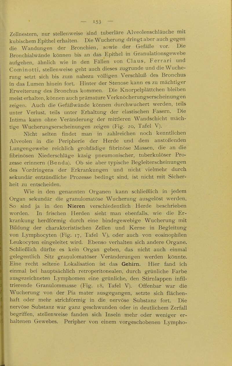 Zellnestern, nur stellenweise sind tuberläre Alveolenschläuche mit kubischem Epithel erhalten. Die Wucherung dringt aber auch gegen die Wandungen der Bronchien, sowie der Gefäße vor. Die Bronchialwände können bis an das Epithel in Granulationsgewebe aufgehen, ähnlich wie in den Fällen von Claus, Ferrari und Cominotti, stellenweise geht auch dieses zugrunde und die Wuche- rung setzt sich bis zum nahezu völligen Verschluß des Bronchus in das Lumen hinein fort. Hinter der Stenose kann es zu mächtiger Erweiterung des Bronchus kommen. Die Knorpelplättchen bleiben meist erhalten, können auch prämature Verknöcherungserscheinungen zeigen. Auch die Gefäßwände können durchwuchert werden, teils unter Verlust, teils unter Erhaltung der elastischen Fasern. Die Intima kann ohne Veränderung der mittleren Wandschicht mäch- tige Wucherungserscheinungen zeigen (Fig. 20, Tafel V). Nicht selten findet man in zahlreichen noch kenntlichen Alveolen in die Peripherie der Herde und dem anstoßenden Lungengevvebe reichlich grobfädige fibrinöse Massen, die an die fibrinösen Niederschläge käsig pneumonischer, tuberkulöser Pro- zesse erinnern (Benda). Ob sie aber typische Begleiterscheinungen des Vordringens der Erkrankungen und nicht vielmehr durch sekundär entzündliche Prozesse bedingt sind, ist nicht mit Sicher- heit zu entscheiden. Wie in den genannten Organen kann schließlich in jedem Organ sekundär die granulomatöse Wucherung ausgelöst werden. So sind ja in den Nieren verschiedentlich Herde beschrieben worden. In frischen Herden sieht man ebenfalls, wie die Er- krankung herdförmig durch eine bindegewebige Wucherung mit Bildung der charakteristischen Zellen und Kerne in Begleitung von Lymphocyten (Fig. 17, Tafel V), oder auch von eosinophilen Leukocyten eingeleitet wird. Ebenso verhalten sich andere Organe. Schließlich dürfte es kein Organ geben, das nicht auch einmal gelegentlich Sitz graqulomatöser Veränderungen werden könnte. Eine recht seltene Lokalisation ist das Gehirn. Hier fand ich einmal bei hauptsächhch retroperitonealen, durch grünliche Farbe ausgezeichneten Lymphomen eine grünliche, den Stirnlappen infil- trierende Granulommasse (Fig. 18, Tafel V). Offenbar war die Wucherung von der Pia mater ausgegangen, setzte sich flächen- haft oder mehr strichförmig in die nervöse Substanz fort. Die nervöse Substanz war ganz geschwunden oder in deutlichem Zerfall begriffen, stellenweise fanden sich Inseln mehr oder weniger er- haltenen Gewebes. Peripher von einem vorgeschobenen Lympho-