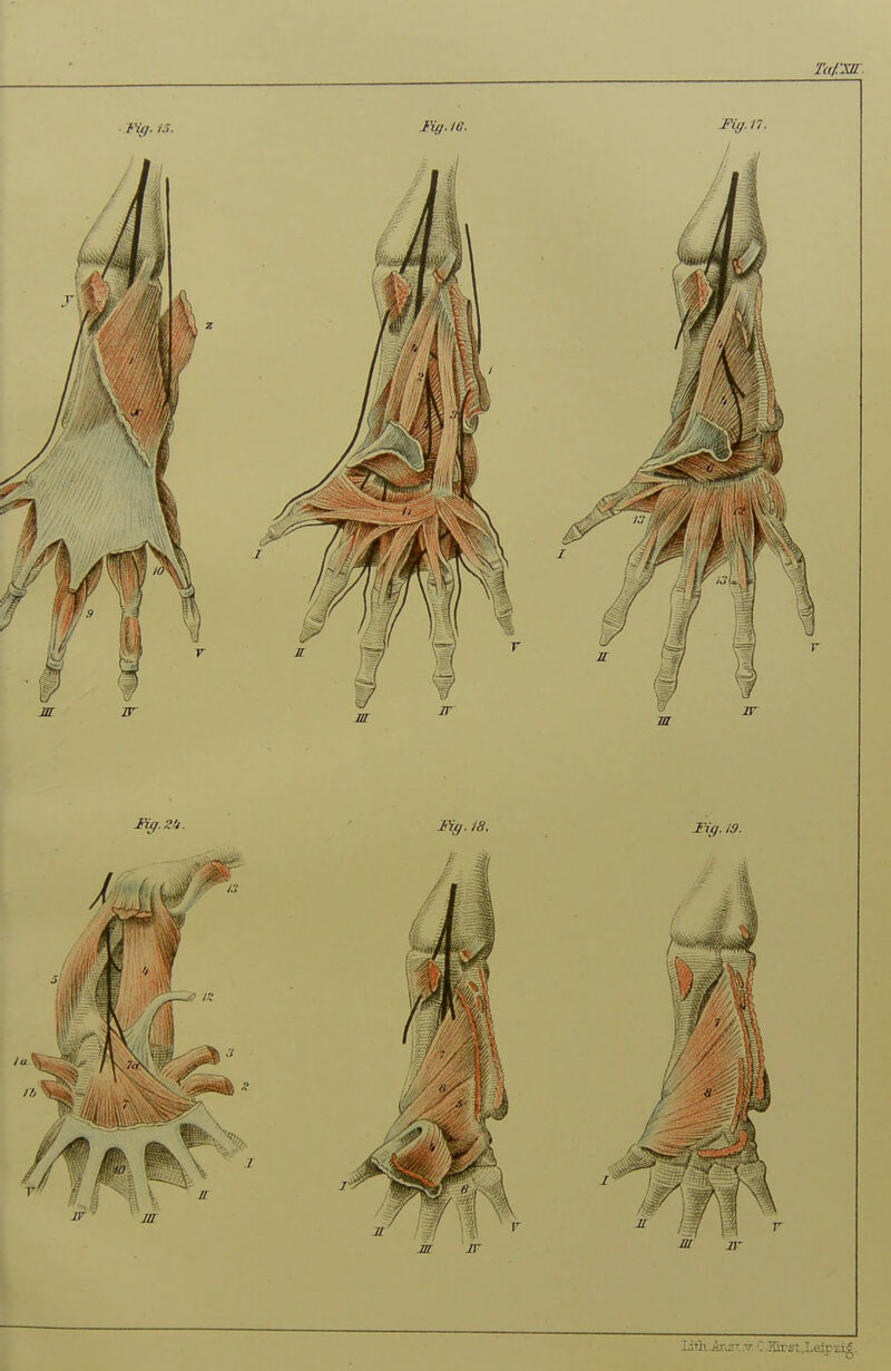 t'üi. 13. Fifh 10. J^-17.