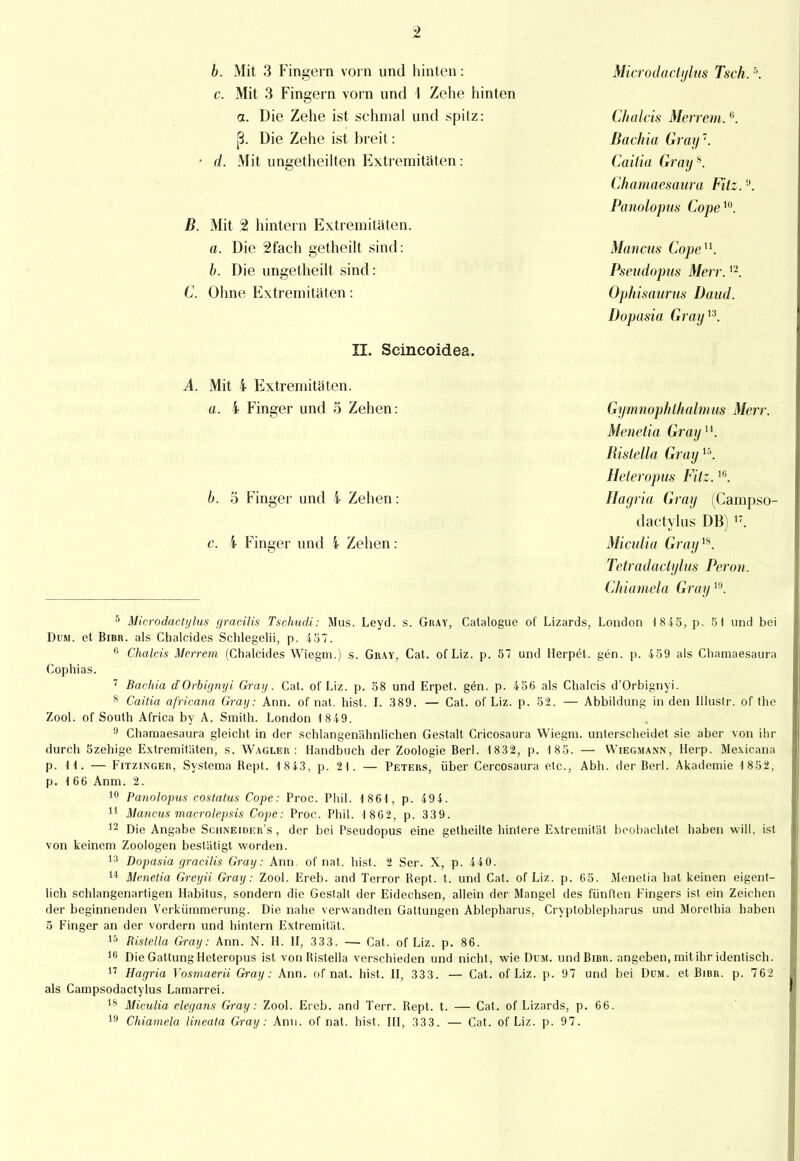 b. Mit 3 Fingern vorn und hinten: c. Mit 3 Fingern vorn und 1 Zehe hinten a. Die Zehe ist schmal und spitz: ß. Die Zehe ist breit: d. Mit ungetheilten Extremitäten: B. Mit 2 hintern Extremitäten. a. Die 2fach getheilt sind: b. Die ungetheilt sind: C. Ohne Extremitäten: II. Scincoidea. A. Mit 4 Extremitäten. «. i Finger und 5 Zehen: b. 5 Finger und i Zehen c. i Finger und i Zehen Micro da dijlus Tsch.; Chalcis Merrem.6. Baclria Gray1. Cailia Gray*. Chamaesaura Fitz.9. Panolopus Cope Mancus Cope11. Pseudopus Merr. n. Ophisaurus Daitd. Dopasia Gray13. Gymnophlhalmus Merr. Menetia Gray14. Ristella Gray15. Heleropus Fitz.16. Hagria Gray (Campso- dactylus DB) 17. Miculia Gray18. Tetradactylus Peron. Chiamela Gray19. 5 Microdactylus gracilis Tschudi: Mus. Leyd. s. Gray, Catalogue of Lizards, London 1 845, p. 51 und bei Dum. et Bibr. als Chalcides Schlegelii, p. 457. (i Chalcis Merrem (Chalcides Wiegm.) s. Gray, Cat. of Liz. p. 57 und Herpel, gen. p. 459 als Chamaesaura Cophias. 7 Bachia dOrbignyi Gray. Cat. of Liz. p. 58 und Erpet. gen. p. 456 als Chalcis d'Orbignyi. 8 Caitia africana Gray: Ann. of nat. hist. I. 389. — Cat. of Liz. p. 52. — Abbildung in den Illuslr. of the Zool. of South Africa by A. Smith. London 1 849. IJ Chamaesaura gleicht in der schlangenähnlichen Gestalt Cricosaura Wiegm. unterscheidet sie aber von ihr durch özehige Extremitäten, s. Wagler: Handbuch der Zoologie Berl. 1832, p. 185. — Wiegmann, Herp. Mexicana p. 11. — Fitzinger, Systema Rept. 1 843, p. 21. — Peters, über Cercosaura etc., Abh. der Berl. Akademie 1 852, p. 1 66 Anm. 2. 10 Panolopus costatus Cope: Proc. Phil. 1861, p. 494. 11 Mancus macrolepsis Cope: Proc. Phil. 186 2, p. 33 9. 12 Die Angabe Schneider's , der bei Pseudopus eine getheilte hintere Extremität beobachtet haben will, ist von keinem Zoologen bestätigt worden. 13 Dopasia gracilis Gray: Ann. of nat. hist. 2 Ser. X, p. 4 4 0. 14 Menetia Greyii Gray: Zool. Ereb. and Terror Rept. t. und Cat. of Liz. p. 65. Menelia bat keinen eigent- lich schlangenartigen Habitus, sondern die Geslalt der Eidechsen, allein der Mangel des fünften Fingers ist ein Zeichen der beginnenden Verkümmerung. Die nahe verwandten Gattungen Ablepharus, Cryptoblepharus und Morelhia haben 5 Finger an der vordem und hintern Extremität. 15 Ristella Gray: Ann. N. H. II, 333. — Cat. of Liz. p. 86. 16 Die Gattung Heteropus ist von Ristella verschieden und nicht, wie Dum. und Bibr. angeben, mit ihr identisch. 17 Hagria Vosmaerii Gray: Ann. ofnat. hist. II, 333. — Cat. of Liz. p. 97 und bei Dum. et Bibr. p. 762 als Campsodactylus Lamarrei. 18 Miculia elegans Gray: Zool. Ereb. and Terr. Rept. t. — Cat. of Lizards, p. 66. 19 Chiamela lineata Gray: Ann. ofnat. hist. III, 333. — Cat. of Liz. p. 97.