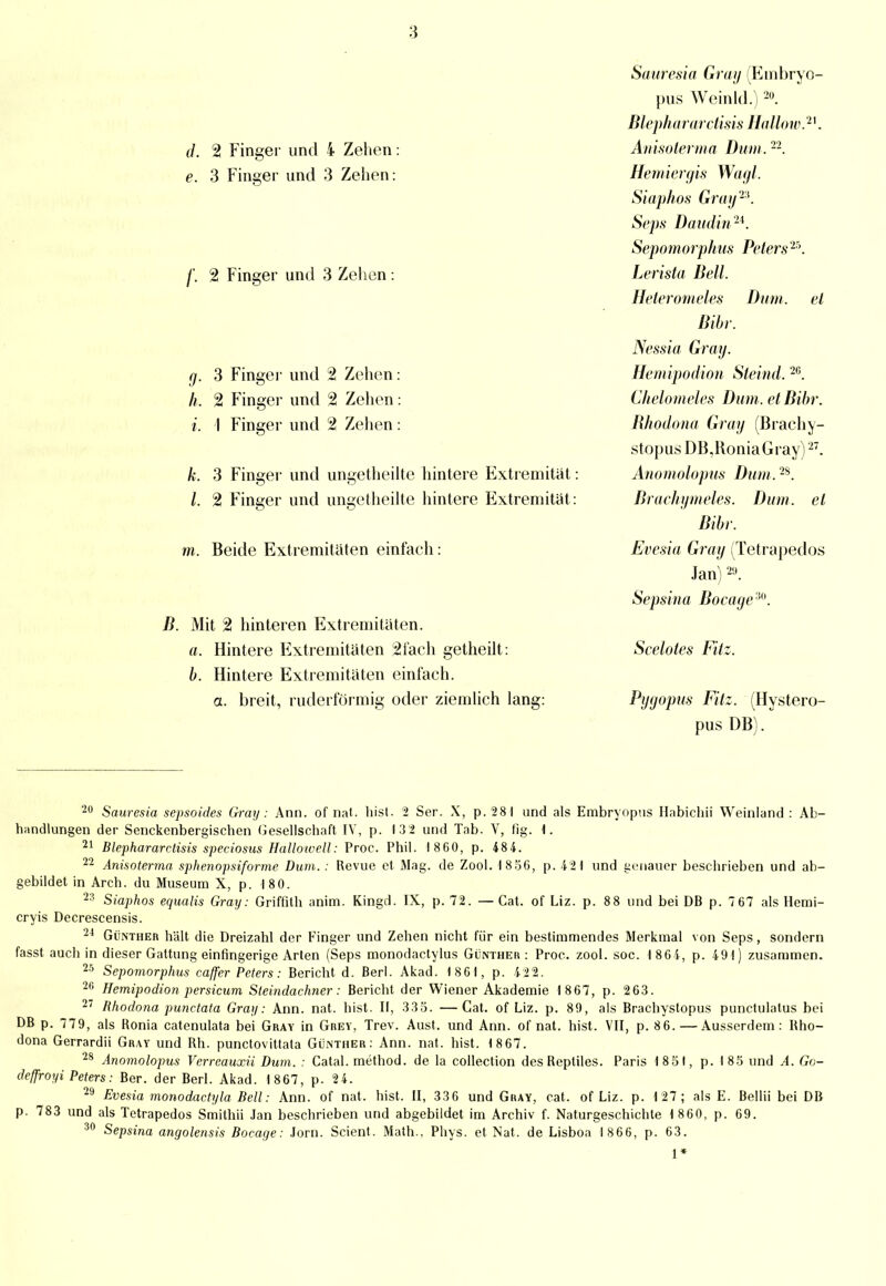 d. 2 Finger und 4 Zehen: e. 3 Finger und 3 Zehen: 2 Finger und 3 Zehen g. 3 Finger und 2 Zehen h. 2 Finger und 2 Zehen i. I Finger und 2 Zehen k. 3 Finger und ungetheilte hintere Extremität /. 2 Finger und ungetheilte hintere Extremität: m. Beide Extremitäten einfach B. Mit 2 hinteren Extremitäten. a. Hintere Extremitäten 2iäch getheilt: b. Hintere Extremitäten einfach. a. breit, ruderförmig oder ziemlich lang: Sauresia Gray (Embryo- pus Wein Id.)2ü. Blepli ararctisis Hai low.21. Ariisoterma Dum . -2. Hemiergis Wagl. Siaphos Gray2*. Seps Daudin2i. Sepomorphus Peters25. Lerista Bell. Heteromeles Dum. et Bibr. Nessia Gray. Hemipodion Steind.2G. Chelomeles Dum. et Bibr. Rhodona Gray (Brachy- stopusDB,RoniaGray)27. Anomolopus Dum.2S. Brach ymeles. Dum. et Bibr. Evesia Gray (Tetrapedos Jan)2U. Sepsina Boeage'M). Seelotes Fitz. Pyyopus Fitz. (Hystero- pus ÜB). 2u Sauresia sepsoides Gray: Ann. of nat. bist. 2 Ser. X, p. 281 und als Embryopus Habichii Weinland : Ab- handlungen der Senckenbergischen Gesellschaft IV, p. 13 2 und Tab. V, Hg. 1. 21 Blephararctisis speciosus HaUowell: Proc. Phil. 1860, p. 484. 22 Anisoterma sphenopsiforme Dum. : Revue et Mag. de Zool. 18 56, p. 421 und genauer beschrieben und ab- gebildet in Arch. du Museum X, p. 180. 23 Siaphos equalis Gray: Griffith anim. Kingd. IX, p. 72. — Cat. of Liz. p. 88 und bei DB p. 767 als Hemi- cryis Decrescensis. 24 Günther hält die Dreizahl der Finger und Zehen nicht für ein bestimmendes Merkmal von Seps, sondern fasst auch in dieser Gattung einfingerige Arten (Seps monodaetylus Günther: Proc. zool. soc. 1864, p. 491) zusammen. 25 Sepomorphus caffer Peters: Bericht d. Berl. Akad. 1861, p. 422. 26 Hemipodion persicum Steindachtier: Bericht der Wiener Akademie 18 67, p. 2 63. 27 Rhodona punctata Gray: Ann. nat. bist. II, 335. —Cat. of Liz. p. 89, als Brachystopus punetulalus bei DB p. 779, als Ronia catenulata bei Gray in Grev, Trev. Aust. und Ann. of nat. bist. VII, p. 86. — Ausserdem: Rho- dona Gerrardii Gray und Rh. punetovittata Günther: Ann. nat. bist. 1 8 67. 28 Anomolopus Verreauxii Dum. : Catal. method. de la collection des Reptiles. Paris 1851, p. 185 und A. Go- deffroyi Peters: Ber. der Berl. Akad. 1867, p. 24. 29 Evesia monodaetyla Bell: Ann. of nat. bist. II, 336 und Gray, cat. of Liz. p. 127; als E. Beiiii bei DB p. 783 und als Tetrapedos Smithii Jan beschrieben und abgebildet im Archiv f. Naturgeschichte 1 860, p. 69. 30 Sepsina angolensis Bocage: Jörn. Scient. Math., Phys. et Nat. de Lisboa 1866, p. 63. 1*