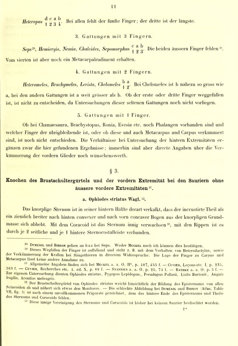 f 1 C 9 b Heteropus ,| ^ 3 4' ^*e* aen te^1 c^er ^ün^e Finger; der dritte ist der längste. 3. Gattungen mit 3 Fingern. C 3. XD Seps™, Hemiergis, Nessia, Chalcides, Sepomorphus ,j g 3- Die beiden äussern Finger fehlen30. Vom vierten ist aber noch ein Metaearpalrudiment erhalten. 4. Gattungen mit 2 Fingern. Heteromeles, Drachymeles, Lerista, Chelomeles ^ ^. Bei Chelomeles ist b nahezu so gross wie a, bei den andern Gattungen ist a weit grösser als b. Ob der erste oder dritte Finger weggefallen ist, ist nicht zu entscheiden, da Untersuchungen dieser seltenen Gattungen noch nicht vorliegen. 5. Gattungen mit I Finger. Ob bei Chamaesaura, Brachystopus, Ronia, Evesia etc. noch Phalangen vorhanden sind und welcher Finger der übrigbleibende ist, oder ob diese und auch Metacarpus und Carpus verkümmert sind, ist noch nicht entschieden. Die Verhaltnisse bei Untersuchung der hintern Extremitäten er- gänzen zwar die hier gefundenen Ergebnisse; immerhin sind aber directe Angaben über die Ver- kümmerimg der vordem Glieder noch wünschenswert)!. § 3. Knochen des Brustschultergürtels und der vordem Extremität bei den Sauriern ohne äussere vordere Extremitäten31. a. Ophiodes striatus Wagl.32. Das knorplige Stenum ist in seiner hintern Hälfte derart verkalkt, dass der incrustirte Theil als ein ziemlich breiter nach hinten convexer und nach vorn concaver Bogen aus der knorpligen Grund- masse sich abhebt. Mit dem Coracoid ist das Steraum innig verwachsen33, mit den Rippen ist es durch je 2 seitliche und je 1 hintere Sternocostalleiste verbunden. 29 Dumeril und Bibron geben an baa bei Seps. Weder Meckel noch ich können dies bestätigen. 30 Dieses Wegfallen der Finger ist auffallend und steht z. B. mit dem Verhalten von Heterodactylus, sowie der Verkümmerung der Krallen bei Säugethieren in direclem Widerspruche. Die Lage der Finger zu Carpus und Metacarpus lässt keine andere Annahme zu. 31 Allgemeine Angaben finden sich bei Meckel a. a. 0. IIa, p. 407, 455 f. — Cuvier, Leconsetc. I, p. 235, 363 f. — Cuvier, Recherches etc. 4. ed. X, p. 88 f. — Stanniüs a. a. 0. p. 25, 7 4 f. — Rathke a. a. 0. p. 5 f. — Zur eigenen Untersuchung dienten Ophiodes striatus, Pygopus Lepidopus, Pseudopus Pallasii, Lialis Burtonii, Anguis fragilis, Acontias meleagris. 3 Der Brustschultergürtel von Ophiodes striatus weicht hinsichtlich der Bildung des Episternums von allen Scincoiden ab und nähert sich etwas den Monitores. — Die schlechte Abbildung bei Dumeril und Bibron (Atlas, Table VII, fig. 3) ist nach einem unvollkommenen Präparate gezeichnet, dem das hintere Ende des Episternums und Theile des Sternunis und Coracoids fehlen. Diese innige Vereiniaune des Sterntims und Coracoids ist bisher bei keinem Saurier beobachtet worden.