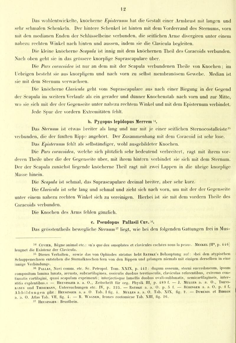 Das wohlentwickelte, knöcherne Episternum hat die Gestalt einer Armbrust mit langen und sehr schmalen Schenkeln. Der hintere Schenkel ist hinten mit dem Vorderrand des Sternums, vorn mit den medianen Enden der Schlüsselbeine verbunden, die seitlichen Arme divergiren unter einem nahezu rechten Winkel nach hinten und aussen, indem sie die Glavicula begleiten. Die kleine knöcherne Scapula ist innig mit dem knöchernen Theil des Coracoids verbunden. Nach oben geht sie in das grössere knorplige Suprascapulare über. Die Pars coracoidea ist nur an dem mit der Scapula verbundenen Theile von Knochen; im Uebrigen besteht sie aus knorpligem und nach vorn zu selbst membranösem Gewebe. Median ist sie mit dem Sternum verwachsen. Die knöcherne Clavicula geht vom Suprascapulare aus nach einer Biegung in der Gegend der Scapula im weitern Verlaufe als ein gerader und dünner Knochenstab nach vorn und zur Mitte, wo sie sich mit der der Gegenseite unter nahezu rechtem Winkel und mit dem Episternum verbindet. Jede Spur der vordem Extremitäten fehlt. b. Pygopus lepidopus Merrem34. Das Sternum ist etwas breiter als lang und nur mit je einer seitlichen Sternocostalleiste35 verbunden, die der fünften Rippe angehört. Der Zusammenhang mit dem Coracoid ist sehr lose. Das Episternum fehlt als selbständiger, wohl ausgebildeter Knochen. Die Pars coracoidea, welche sich plötzlich sehr bedeutend verbreitert , ragt mit ihrem vor- deren Theile über die der Gegenseite über, mit ihrem hintern verbindet sie sich mit dem Sternum. Der der Scapula zunächst liegende knöcherne Theil ragt mit zwei Lappen in die übrige knorplige Masse hinein. Die Scapula ist schmal, das Suprascapulare dreimal breiter, aber sehr kurz. Die Clavicula ist sehr lang und schmal und zieht sich nach vorn, um mit der der Gegenseite unter einem nahezu rechten Winkel sich zu vereinigen. Hierbei ist sie mit dem vordem Theile des Coracoids verbunden. Die Knochen des Arms fehlen gänzlich. c. Pseudopus Pallasii Cuv.36. Das grösstenteils bewegliche Sternum 3'' liegt, wie bei den folgenden Gattungen frei in Mus- 34 Cuvier, Regne animal etc.: »n'a que des omoplates et clavicules cachees sous la peau«. Meckel (IIa, p. 4 46) leugnet die Existenz der Clavicula. 35 Dieses Verhalten, sowie das von Ophiodes striatus hebt Rathke's Behauptung auf: »bei den atypischen Schuppenechsen entstehen die Sternalknochen fern von den Rippen und gelangen niemals mit einigen derselben in eine innige Verbindung«. 36 Pallas, Novi comm. etc. Sc. Petropol. Tom. XXIX, p. 442 : »Iugum osseum, sterni succedaneum, ipsum compositum lamina lunata, arcuata, subcarlilaginea, ossiculis duobus teretiusculis, claviculas referentibus, extremo con- tinuatis cartilagini, quasi scapulam exprimenli; interjectisque lamellis duobus ovali-sublunatis, semicartilagineis, inter- stitia explenlibus.« — Heusinger a. a. 0., Zeitschrift für org. Physik III, p. 4 89 f. — J. Müller a. a. 0., Trevi- rvnus und Tiedemann, Untersuchungen etc. IV, p. 225. — Rathke a. a. 0. p. 5 f. — Hüdinger a. a. 0. p. 1 f. Abbildungen gibt : Heusinger a. a 0. Tab. I fig. 4. Mülleu a. a. 0. Tab. XIX, fig. 2. — Dumkril et Bibhon a. a. 0. Atlas Tab. VII, fig. 4. — R. Wagner, Icones zootomicae Tab. XIII, fig. 26. 37 Heusinger : Brustbein.