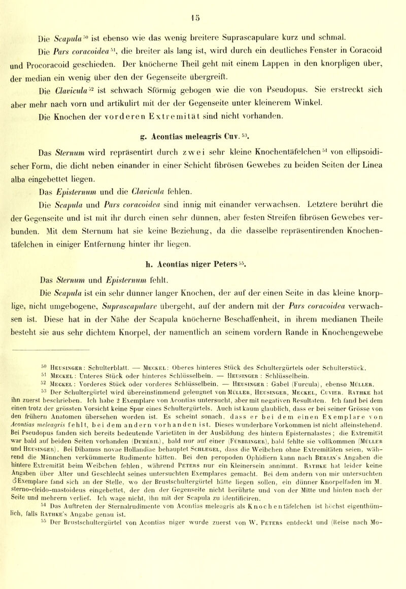 Die Scapula50 ist ebenso wie das wenig breitere Suprascapulare kurz und schmal. Die Pars coracoidea51, die breiter als lang ist, wird durch ein deutliches Fenster in Coracoid und Procoracoid geschieden. Der knöcherne Theil geht mit einem Lappen in den knorpligen über, der median ein wenig über den der Gegenseite übergreift. Die Clavicula'2 ist schwach Sförmig gebogen wie die von Pseudopus. Sie erstreckt sich aber mehr nach vorn und artikulirt mit der der Gegenseite unter kleinerem Winkel. Die Knochen der vorderen Extremität sind nicht vorhanden. g. Acontias meleagris Cuv.5:t. Das Sternum wird repräsentirt durch zwei sehr kleine Knochentäfelchen54 von ellipsoidi- scher Form, die dicht neben einander in einer Schicht fibrösen Gewebes zu beiden Seiten der Linea alba eingebettet liegen. Das Episiernum und die Clavicula fehlen. Die Scapula und Pars coracoidea sind innig mit einander verwachsen. Letztere berührt die der Gegenseite und ist mit ihr durch einen sehr dünnen, aber festen Streifen fibrösen Gewebes ver- bunden. Mit dem Sternum hat sie keine Beziehung, da die dasselbe repräsentirenden Knochen- täfelchen in einiger Entfernung hinter ihr liegen. h. Acontias niger Peters55. Das Sternum und Episternum fehlt. Die Scapula ist ein sehr dünner langer Knochen, der auf der einen Seite in das kleine knorp- lige, nicht umgebogene, Suprascapulare übergeht, auf der andern mit der Pars coracoidea verwach- sen ist. Diese hat in der Nähe der Scapula knöcherne Beschaffenheit, in ihrem medianen Theile besteht sie aus sehr dichtem Knorpel, der namentlich an seinem vordem Rande in Knochengewebe 50 Heusinger: Schulterblatt. — Meckel: Oberes hinteres Stück des Schultergürtels oder Schulterstück. 51 Meckel : Unteres Stück oder hinteres Schlüsselbein. — Heusinger : Schlüsselbein. 52 Meckel: Vorderes Stück oder vorderes Schlüsselbein. — Heusinger : Gabel (Furcula), ebenso Müller. 53 Der Schultergürtel wird übereinstimmend geleugnet von Müller, Heusinger, Meckel, Co vier. Hathke hat ihn zuerst beschrieben. Ich habe i Exemplare von Acontias untersucht, aber mit negativen Resultaten. Ich fand bei dem einen trotz der grössten Vorsicht keine Spur eines Schultergürtels. Auch ist kaum glaublich, dass er bei seiner Grösse von den frühern Anatomen übersehen worden ist. Es scheint sonach, dass er bei dem einen Exemplare von Acontias meleagris fehlt, bei dem andern vorhanden ist. Dieses wunderbare Vorkommen ist nicht alleinstehend. Bei Pseudopus fanden sich bereits bedeutende Varietäten in der Ausbildung des hintern Episternalastes; die Extremität war bald auf beiden Seiten vorhanden (Dujmeril), bald nur auf einer (Fürbringer), bald fehlte sie vollkommen (Müller und Heusinger). Bei Dibamus novae Hollandiae behauptet Schlegel, dass die Weibchen ohne Extremitäten seien, wäh- rend die Männchen verkümmerte Rudimente hätten. Bei den peropoden Ophidiern kann nach Berlin's Angaben die hintere Extremität beim Weibchen fehlen, während Peters nur ein Kleinersein annimmt. Ratiike hat leider keine Angaben über Alter und Geschlecht seines untersuchten Exemplares gemacht. Bei dem andern von mir untersuchten ^Exemplare fand sich an der Stelle, wo der Brustschultergürtel hätte liegen sollen, ein dünner Knorpelfaden im M. sterno-cleido-mastoideus eingebettet, der den der Gegenseite nicht berührte und von der Mitte und hinten nach der Seite und mehrern verlief. Ich wage nicht, ihn mit der Scapula zu identificiren. 54 Das Auftreten der Sternalrudimente von Acontias meleagris als K noc h e n täfeichen ist höchst eigentüm- lich, falls Rathke's Angabe genau ist. 55 Der Brustschultergürtel von Acontias niger wurde zuerst von W. Peters entdeckt und (Reise nach Mo-