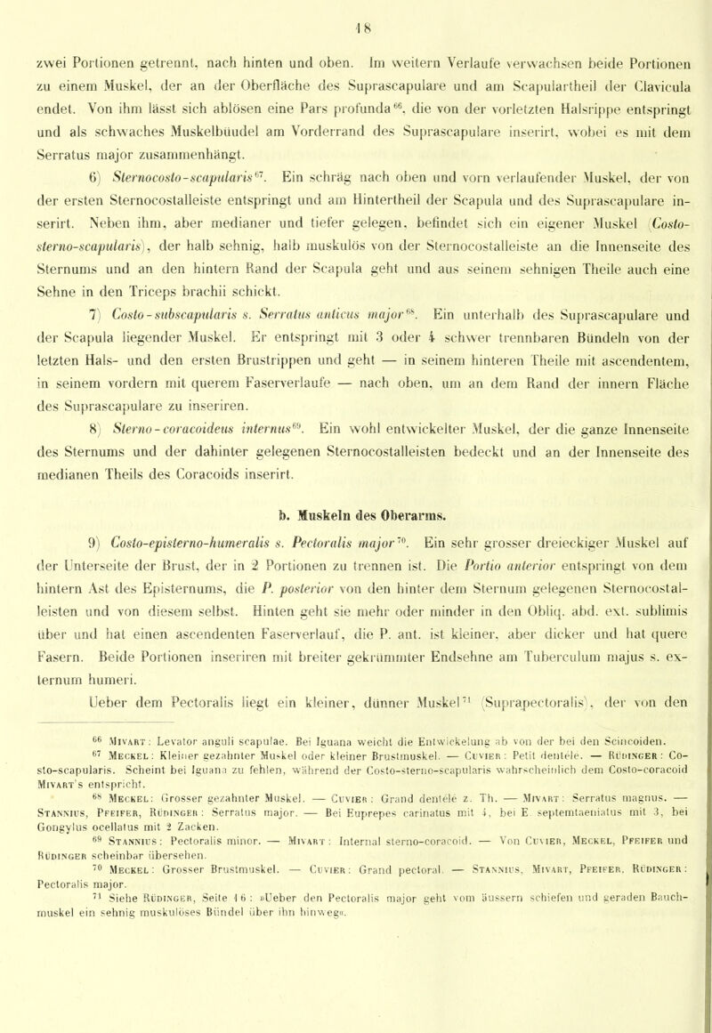 zwei Portionen getrennt, nach hinten und oben, im weitern Verlaufe verwachsen beide Portionen zu einem Muskel, der an der Oberflache des Suprascapulare und am Scapuiartheil der Clavicula endet. Von ihm lässt sich ablösen eine Pars profunda66, die von der vorletzten Halsrippe entspringt und als schwaches Muskelbüudel am Vorderrand des Suprascapulare inserirt, wobei es mit dem Serratus major zusammenhängt. 6) Sternocosto-scapularis®1. Ein schräg nach oben und vorn verlaufender Muskel, der von der ersten Sternocostalleiste entspringt und am Hintertheil der Scapula und des Suprascapulare in- serirt. Neben ihm, aber medianer und tiefer gelegen, befindet sich ein eigener Muskel Costo- slerno-scapularis), der halb sehnig, halb muskulös von der Sternocostalleiste an die Innenseite des Sternums und an den hintern Rand der Scapula geht und aus seinem sehnigen Theile auch eine Sehne in den Triceps brachii schickt. 7) Costo-subscapularis s. Serratus anticus major6*. Ein unterhalb des Suprascapulare und der Scapula liegender Muskel. Er entspringt mit 3 oder 4 schwer trennbaren Bündeln von der letzten Hals- und den ersten Brustrippen und geht — in seinem hinteren Theile mit ascendentem, in seinem vordem mit querem Faserverlaufe — nach oben, um an dem Rand der innern Fläche des Suprascapulare zu inseriren. 8) Sterno -coracoideus internus®. Ein wohl entwickelter Muskel, der die ganze Innenseite des Sternums und der dahinter gelegenen Sternocostalleisten bedeckt und an der Innenseite des medianen Theils des Coracoids inserirt. I). Muskeln des Oberarms. 9) Costo-episterno-humeralis s. Pectoralis major10. Ein sehr grosser dreieckiger Muskel auf der Unterseite der Brust, der in 2 Portionen zu trennen ist. Die Portio anterior entspringt von dem hintern Ast des Episternums, die P. posterior von den hinter dem Stern um gelegenen Sternocostal- leisten und von diesem selbst. Hinten geht sie mehr oder minder in den übliq. abd. ext. sublimis über und hat einen ascendenten Faserverlauf, die P. ant. ist kleiner, aber dicker und hat quere Fasern. Beide Portionen inseriren mit breiter gekrümmter Endsehne am Tuberculum majus s. ex- ternum humeri. Ueber dem Pectoralis liegt ein kleiner, dünner Muskel71 (Suprapectoralis)^ der von den 66 Mivart. Levator anguli scapulae. Bei Iguana weicht die Enlwickelung ab von der bei den Scincoiden. 07 Meckel: Kleiner gezahnter Muskel oder kleiner Brustmuskel. — Cbvier: Petit deutele. — Rüihnger : Co- sto-scapularis. Scheint bei Iguana zu fehlen, während der Cosfo-sterno-scapularis wahrscheinlich dem Costo-coracoid Mivart's entspricht. s8 Meckel: Grosser gezahnter Muskel. — Cuvier : Grand dentele z. Th. —Mivart: Serratus magnus. — Stannius, Pfeifer, Rüdinger: Serratus major. — Bei Euprepes carinatus mit i, bei E septemtaeniatus mit 3, bei Gongylus ocellatus mit 2 Zacken. ufl Stannius: Pectoralis minor. — Mivart: Internal sterno-coracoid. — Von Cuvier, Meckel, Pfeifer und Rüdinger scheinbar übersehen. 70 Meckel: Grosser Brustmuskel. — Cuvier : Grand pectoral. — Stannius, Mivart, Pfeifer. Rüdinger: Pectoralis major. 71 Siehe Rüdinger, Seite 4 6: »Ueber den Pectoralis major geht vom äussern schiefen und geraden Bauch- muskel ein sehnig muskulöses Bündel über ihn hinweg«.