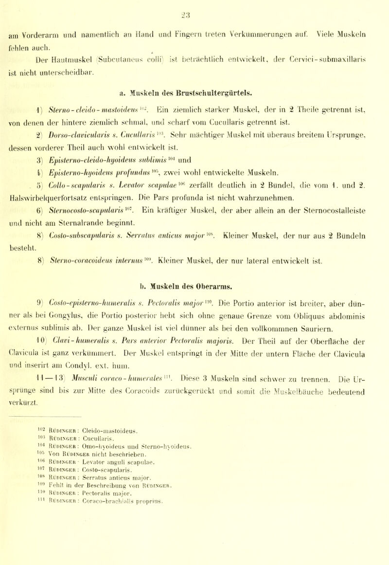 am Vorderarm und namentlich an Hand und Fingern treten Verkümmerungen auf. Viele Muskeln fehlen auch. Der Hautmuskel (Subcutanen* colli) ist beträchtlich entwickelt, der Cervici-submaxillaris ist nicht unterscheidbar. a. Muskeln des Brustschultergürtels. 1) Sterno - cleido - mastoideus m. Ein ziemlich starker Muskel, der in 2 Theile getrennt ist, von denen der hintere ziemlich schmal, und scharf vom Cucullaris getrennt ist. 2) Dorso-clavictdaris s. Cucullaris m. Sehr machtiger Muskel mit überaus breitem Ursprünge, dessen vorderer Theil auch wohl entwickelt ist, 3) Episterno-cleido-hyoideus sublimis 104 und 4) Episterno-hyoideus profundus l05, zwei wohl entwickelte Muskeln. 5) Collo - scapularis s. Levator scapulaem zerfallt deutlich in 2 Bündel, die vom 1. und 2. Halswirbelquerfortsatz entspringen. Die Pars profunda ist nicht wahrzunehmen. 6) Slernocosto-scupnlaris m. Ein kraftiger Muskel, der aber allein an der Sternocostalleiste und nicht am Sternalrande beginnt. 8) Costo-subscapularis s. Serratus anticus major m. Kleiner Muskel, der nur aus 2 Bündeln besteht. 8) Sterno-coracoideus internus m. Kleiner Muskel, der nur lateral entwickelt ist. h. Muskeln des Oherarms. 9) Costo-epistemo-humeralis s. Pectoralis major™. Die Portio anterior ist breiter, aber dün- ner als bei Gongylus, die Portio posterior hebt sich ohne genaue Grenze vom Öbliquus abdominis externus sublimis ab. Der ganze Muskel ist viel dünner als bei den volikommnen Sauriern. 10) Clavi -humeralis s. Pars anterior Pectoralis majoris. Der Theil auf der Oberfläche der Clavicula ist ganz verkümmert. Der Muskel entspringt in der Mitte der untern Flache der Clavicula und inserirt am Condyl. ext, hum. I I —13 Musculi coraco-humeralesM. Diese 3 Muskeln sind schwer zu trennen. Die Ur- sprünge sind bis zur Mitte des Coracoids zurückgerückt und somit die Muskelbäuche bedeutend verkürzt. 12 Rüdinger: Cleido-mastoideus. J! Rüdinger : Cucullaris. )4 Rüdinger: Omo-hyoideus und Sterno-hvoideus. 15 Von Rüdinger nicht beschrieben. 16 Rüdinger • Levator anguli scapulae. 17 Rüdinger: Costo-scapularis. 18 Rüdinger : Serratus anticus major. l!l Fehlt in der Beschreibung von Rüdinger. 10 Rüdinger : Pectoralis major. 11 Rüdinger: Coraco-brachialis proprius.