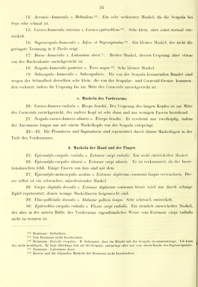 14) Acromio-humeralt's s. Deltoideusm. Ein sehr verkürzter Muskel, da die Scapula bei Seps sehr schmal ist. 15) Coraco-humeralis internus s. Coräco-epitrochleusm. Sehr klein, aber sonst normal ent- wickelt. 16) Suprascapulo-humeralis s. Infra- et Supraspinatuslu. Ein kleiner Muskel, der nicht die geringste Trennung in 2 Theile zeigt. 17) Dorso - humer alis s. Latissimus dorsi115. Breiter Muskel, dessen Ursprung aber etwas von der Rückenkante zurückgerückt ist. 1 8) Scapulo-humeralis posterior s. Teres major m. Sehr kleiner Muskel. 19) Subscapulo-humeralis s. Subscapularis. Die von der Scapula kommenden Bündel sind wegen der Schmalheit derselben sehr klein, die von der Scapular- und Coracoid-Grenze kommen- den verkürzt, indem ihr Ursprung bis zur Mitte des Coracoids zurückgerückt ist. c. Muskeln des Vorderarms. 20) Cor aco-humer o-radialis s. Biceps brachii. Der Ursprung des langen Kopfes ist zur Mitte des Coracoids zurückgerückt, der andere Kopf ist sehr dünn und aus wenigen Fasern bestehend. 21) Scapulo-coraco-humero-ulnaris s. Triceps brachii. Er erscheint nur zweiköpfig, indem der Anconaeus longus nur mit einem Muskelkopfe von der Scapula entspringt, 22—24) Die Pronatoren und Supinatoren sind repräsentirt durch dünne Muskellagen in der Tiefe des Vorderarmes. d. Muskeln der Hand und der Finger. 25) Epicondylö-earpalis radialis s. Extensor carpi radialis. Ein wohl entwickelter Muskel. 26) Epicondylö-earpalis ulnaris s. Extensor carpi ulnaris. Er ist verkümmert, da der Inser- tionsknochen fehlt. Einige Fasern von ihm sind mit dem 27) Epicondglo-melacarpalis niedius s. Extensor digitorum communis longus verwachsen. Die- ser selbst ist ein schwacher, unbedeutender Muskel. 28) Carpo-digitalis dorsalis s. Extensor digitorum communis brevis wird nur durch sehnige Zipfel repräsentirt, denen wenige Muskelfasern beigemischt sind. 29) Ulno-pollicialis dorsalis s. Abduetor pollicis longus. Sehr schwach entwickelt, 30) Epitrochleo-carpalis radialis s. Flexor carpi radialis. Ein ziemlich entwickelter Muskel, der aber in der untern Hälfte des Vorderarms eigentümlicher Weise vom Extensor carpi radialis nicht zu trennen ist. 112 Rüdinger : Deltoideus. 113 Von Rüdinger nicht beschrieben. 114 Rüdinger: Dorsalis scnpulae. R. behauptet, dass ein Bündel mit der Scapula zusammenhänge. Ich kann das nicht bestätigen. Er liegt allerdings fest auf der Scapula, entspringt aber nur vom obern Rande des Suprascapulare. 1,5 fiüdinger : Latissimus dorsi. 110 Diesen und die folgenden Muskeln hat Rüdinger nicht beschrieben.