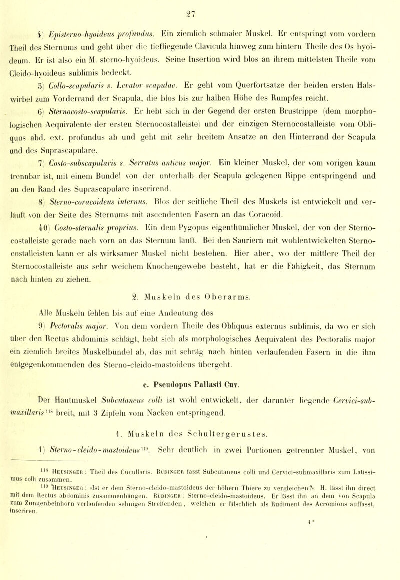 i) Episterno-hyoideus profundus. Ein ziemlich schmaler Muskel. Er entspringt vom vordem Theil des Steinums und geht über die tiefliegende Glavicula hinweg zum hintern Theile des Os hyoi- deum. Er ist also ein M. sterno-hyoideus. Seine Insertion wird blos an ihrem mittelsten Theile vom Cleido-hyoideus sublimis bedeckt. 5) CoUo-scapularis s. Levator scapulae. Er geht vom Querfortsatze der beiden ersten Hals- wirbel zum Vorderrand der Scapula, die blos bis zur halben Höhe des Rumpfes reicht. 6) Sternocosto-scapularis. Er hebt sich in der Gegend der ersten Brustrippe (dem morpho- logischen Aequivalente der ersten Sternocostalleiste) und der einzigen Sternocostalleiste vom Obli- quus abd. ext. profundus ab und geht mit sehr breitem Ansätze an den Hinterrand der Scapula und des Suprascapulare. 7) Gosto-subscapularis s. Serratus anticus major. Ein kleiner Muskel, der vom vorigen kaum trennbar ist, mit einem Bündel von der unterhalb der Scapula gelegenen Rippe entspringend und an den Rand des Suprascapulare inserirend. 8) Stemo-coracoideus internus. Bios der seitliche Theil des Muskels ist entwickelt und ver- läuft von der Seite des Sternums mit ascendenten Fasern an das Coracoid. 40) Costo-sternalis proprius. Ein dem Pygopus eigentümlicher Muskel, der von der Sterno- costalleiste gerade nach vorn an das Steinum läuft. Bei den Sauriern mit wohlentwickelten Sterno- costalleisten kann er als wirksamer Muskel nicht bestehen. Hier aber, wo der mittlere Theil der Sternocostalleiste aus sehr weichem Knochengewebe besteht, hat er die Fähigkeit, das Sternum nach hinten zu ziehen. 2. Muskeln des Oberarms. Alle Muskeln fehlen bis auf eine Andeutung des 9) Pectoralis major. Von dem vordem Theile des Obliquus externus sublimis, da wo er sich über den Rectus abdominis schlägt, hebt sich als morphologisches Aequivalent des Pectoralis major ein ziemlich breites Muskelbündel ab, das mit schräg nach hinten verlaufenden Fasern in die ihm entgegenkommenden des Sterno-cleido-mastoideus übergeht. c. Pseudopus Pallasii Cuv. Der Hautmuskel Subcutanem colli ist wohl entwickelt, der darunter liegende Cervici-sub- maxillaris 118 breit, mit 3 Zipfeln vom Nacken entspringend. 1. Muskeln des Schultergerüstes. 1) Sterno-cleido-mastoideus1^. Sehr deutlich in zwei Portionen getrennter Muskel, von 118 HEUsiNGER : Theil des Cucullaris. Rüdinger fasst Subcutaneus colli und Cervici-submaxillaris zum Latissi- mus colli zusammen. 119 TIeusinger : »Ist er dem Sterno-cleido-mastoideus der höhern Thiere zu vergleichen?« H. lässt ihn direct mit dem Rectus abdominis zusammenhängen. Rüdi.vger : Sterno-cleido-mastoideus. Er lässt ihn an dem von Scapula zum Zungenbeinhorn verlaufenden sehnigen Streifenden . welchen er fälschlich als Rudiment des Acromions auffasst, inseriren. 4*