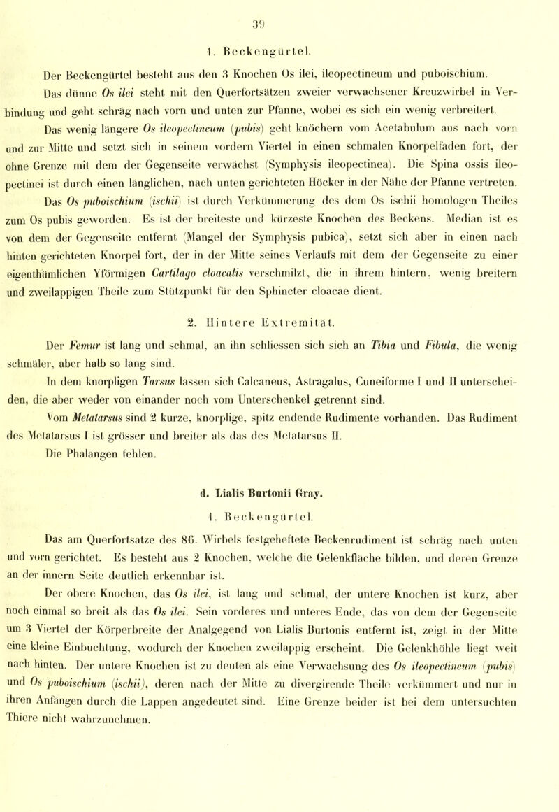 1. Beckengürtel. Der Beckengürtel besteht aus den 3 Knochen Os ilei, ileopectineum und puboischium. Das dünne Os ilei steht mit den Querfortsätzen zweier verwachsener Kreuzwirbel in Ver- bindung und geht schräg nach vorn und unten zur Pfanne, wobei es sich ein wenig verbreitert. Das wenig längere Os ileopectineum (pubis) geht knöchern vom Acetabulum aus nach vorn und zur Mitte und setzt sich in seinem vordem Viertel in einen schmalen Knorpelfaden fort, der ohne Grenze mit dem der Gegenseite verwächst (Symphysis ileopectinea). Die Spina ossis ileo- pectinei ist durch einen länglichen, nach unten gerichteten Höcker in der Nähe der Pfanne vertreten. Das Os puboischium (ischii) ist durch Verkümmerung des dem Os ischii homologen Theiles zum Os pubis geworden. Es ist der breiteste und kürzeste Knochen des Beckens. Median ist es von dem der Gegenseite entfernt (Mangel der Symphysis pubica), setzt sich aber in einen nach hinten gerichteten Knorpel fort, der in der Mitte seines Verlaufs mit dem der Gegenseite zu einer eigentümlichen Yförmigen Cartilayo cloacalis verschmilzt, die in ihrem hintern, wenig breitern und zweilappigen Theile zum Stützpunkt für den Sphincter cloacae dient. 2. Hintere Extremität. Der Femur ist lang und schmal, an ihn schliessen sich sich an Tibia und Fibula, die wenig schmäler, aber halb so lang sind. In dem knorpligen Tarsus lassen sich Calcaneus, Astragalus, Cuneiforme 1 und II unterschei- den, die aber weder von einander noch vom Unterschenkel getrennt sind. Vom Metatarsus sind 2 kurze, knorplige, spitz endende Rudimente vorhanden. Das Rudiment des Metatarsus I ist grösser und breiter als das des Metatarsus II. Die Phalangen fehlen. d. Lialis Burtonii Gray. 1. Beckengürtel. Das am Querfortsatze des 86. Wirbels festgeheftete Beckenrudiment ist schräg nach unten und vorn gerichtet. Es besteht aus 2 Knochen, welche die Gelenkfläche bilden, und deren Grenze an der innern Seite deutlich erkennbar ist. Der obere Knochen, das Os ilei, ist lang und schmal, der untere Knochen ist kurz, aber noch einmal so breit als das Os ilei. Sein vorderes und unteres Ende, das von dem der Gegenseite um 3 Viertel der Körperbreite der Analgegend von Lialis Burtonis entfernt ist, zeigt in der Mitte eine kleine Einbuchtung, wodurch der Knochen zweilappig erscheint. Die Gelenkhöhle liegt weit nach hinten. Der untere Knochen ist zu deuten als eine Verwachsung des Os ileopectineum (pubis) und Os puboischium (ischii), deren nach der Mitte zu divergirende Theile verkümmert und nur in ihren Anfängen durch die Lappen angedeutet sind. Eine Grenze beider ist bei dem untersuchten Thiere nicht wahrzunehmen.