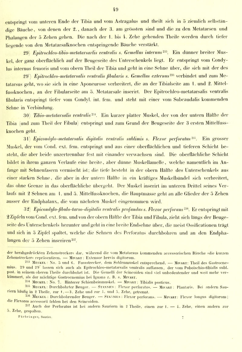 entspringt vom unteren Ende der Tibia und vom Astragalus und theill sich in 5 ziemlich selbstän- dige Bäuche, von denen der 2., danach der 3. am grössten sind und die zu den Metatarsen und Phalangen der ö Zehen gehen. Die nach der 1. bis \. Zehe gehenden Theile werden durch tiefer liegende von den Metatarsalknochen entspringende Bauche verstärkt. 29) Epitrochleo-tibio-metatarsarlis ventralis s. Gemellus internus2*''. Ein dünner breiter Mus- kel, der ganz oberflächlich auf der Beugeseite des Unterschenkels liegt. Er entspringt vom Condy- lus internus femoris und vom obern Theil der Tibia und geht in eine Sehne über, die sich mit der des 29 ) Epitrochleo-metatarsalis ventralis fibularis s. Gemellus externusm verbindet und zum Me- tatarsus geht, wo sie sich in eine Aponeurose verbreitert, die an der Tibialseite am I. und 2. Mittel- fussknochen -, an der Fibularseite am 5. Metatarsale inserirt. Der Epitrochleo-metatarsalis ventralis fibularis entspringt tiefer vom Gondyl. int. fem. und steht mit einer vom Subcaudalis kommenden Sehne in Verbindung. 30) Tibio-metatarsalis ventralism. Ein kurzer platter Muskel, der von der untern Hälfte der Tibia (und zum Theil der Fibula) entspringt und zum Grund der Beugeseite der 3 ersten Mittelfuss- knochen geht. 31) Epicondijlo-melalarsalis digitalis ventralis sublimis s. Flexor perforatus™. Ein grosser Muskel, der vom Cond. ext. fem. entspringt und aus einer oberflächlichen und tieferen Schicht be- steht, die aber beide unzertrennbar fest mit einander verwachsen sind. Die oberflächliche Schicht bildet in ihrem ganzen Verlaufe eine breite, aber dünne Muskellamelle, welche namentlich im An- fange mit Seimenfasern vermischt ist; die tiefe besteht in der obern Hälfte des Unterschenkels aus einer starken Sehne, die aber in der untern Hälfte in ein kräftiges Muskelbündel sich verbreitert, das ohne Grenze in das oberflächliche übergeht. Der Muskel inserirt im unteren Drittel seines Ver- laufs mit 2 Sehnen am I. und 5. Mittelfussknochen, die Hauptmasse geht an alle Glieder der 5 Zehen ausser der Endphalanx, die vom nächsten Muskel eingenommen wird. 32) Epicondylo-fibulo-tarso-digitalis ventralis profundus s. Flexor perforans m. Er entspringt mit 2 Zipfeln vom Cond. ext. fem. und von der obern Hälfte der Tibia und Fibula, zieht sich längs der Beuge- seite des Unterschenkels herunter und geht in eine breite Endsehne über, die meist Ossificationen trägt und sich in 5 Zipfel spaltet, welche die Sehnen des Perforatus durchbohren und an den Endpha- langen der ö Zehen inseriren237. der herabgedrückten Zehenstrecker« dar, während die vorn Metatarsus kommenden accessorischen Bäuche »die kurzen Zehenstrecker« repräsentiren. — Mivaht : Extensor brevis digilorum. 233 Meckel : No. 5 und 6. Fussstrecker, dem Sohlenmuskel entsprechend. — Mivart: Theil des Gastrocne- mius. 29 und 29' lassen sich auch als Epitrochleo-metatarsalis ventralis auffassen, der vom Puboischio-tibialis subl. post. in seinem oberen Theile durchbohrt ist. Die Gemelli der Scincoiden sind viel unbedeutender und weit mehr ver- kümmert, als der mächtige Gastrocnemius bei Iguana z. B. s. Mivart. 234 Meckel: No. 7. Hinterer Schienbeinmuskel. — Mivart: Tibialis posticus. 235 Meckel: Durchbohrter Beuger. — Stannius : Flexor perforatus. — Mivart: Plantaris. Bei andern Sau- riern häufig in 2 Theile, zur 1.—3. Zehe und zur !•. und '5. Zehe, getrennt. 236 Meckel: Durchbohrender Beuger. — Stannius : Flexor perforans. — Mivart: Flexor longus digitorum; die Flexores accessorii fehlen bei den Scincoiden. 237 Auch der Perforatus ist bei andern Sauriern in 2 Theile, einen zur I. — i. Zehe, einen andern zur 5. Zehe, gespalten. Fürbringer, Saurier. 7