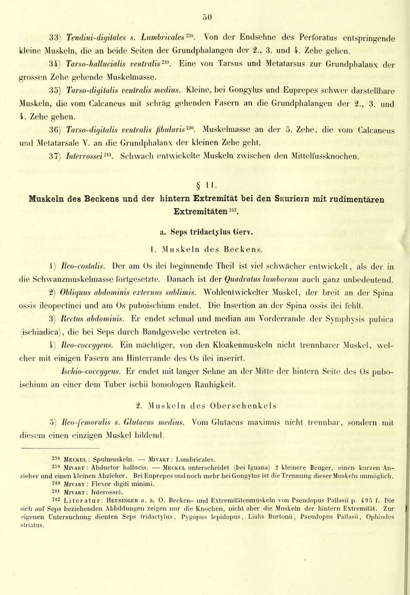 33) Tendini-digilales s. Lumbricales™. Von der Endsehne des Perforatus entspringende kleine Muskeln, die an beide Seiten der Grundphalangen der 2., 3. und 4. Zehe gehen. 34) Tarso-hallucialis ventralis™. Eine von Tarsus und Metatarsus zur Grundphalanx der grossen Zehe gehende Muskelmasse. 35) Tarso-digilalis ventralis medius. Kleine, bei Gongylus und Euprepes schwer darstellbare Muskeln, die vom Calcaneus mit schräg gehenden Fasern an die Grundphalangen der 2., 3. und 4. Zehe gehen. 36) Tarso-digitalis ventralis fibularis™. Muskelmasse an der 5. Zehe, die vom Calcaneus und Metatarsale V. an die Grundphalanx der kleinen Zehe geht. 37) Interrosseim. Schwach entwickelte Muskeln zwischen den Mittelfussknochen. § 11- Muskeln des Beckens und der hintern Extremität bei den Sauriern mit rudimentären Extremitäten 242. a. Seps tridactylus Gerv. \. Muskeln des Beckens. 1) Ueo-costalis. Der am Os ilei beginnende Theil ist viel schwächer entwickelt , als der in die Schwanzmuskelmasse fortgesetzte. Danach ist der Quadratus lumborum auch ganz unbedeutend. 2) Obliquus abdominis externus sublimis. Wohlentwickelter Muskel, der breit an der Spina ossis ileopectinei und am Os puboischium endet. Die Insertion an der Spina ossis ilei fehlt. 3) Rechts abdominis. Er endet schmal und median am Vorderrande der Symphysis pubica (ischiadica), die bei Seps durch Bandgewebe vertreten ist. 4) Ueococcygeus. Ein mächtiger, von den Kloakenmuskeln nicht trennbarer Muskel, wel- cher mit einigen Fasern am Hinterrande des Os ilei inserirt. Ischio-coccygeus. Er endet mit langer Sehne an der Mitte der hintern Seite des Os pubo- ischium an einer dem Tuber ischii homologen Rauhigkeit. 2. Muskeln des Oberschenkels 5) ßeo-femoralis s. Glutaeus medius. Vom Glutaeus maximus nicht trennbar, sondern mit diesem einen einzigen Muskel bildend. 238 Meckel: Spulinuskeln. —■ Mivart : Lumbricales. 239 Mivart : Abductor hallucis. — Meckel unterscheidet (bei Iguana) 2 kleinere Beuger, einen kurzen An- zieher und einen kleinen Abzieher. Bei Euprepes und noch mehr bei Gongylus ist die Trennung dieser Muskeln unmöglich. 240 Mivart : Flexor digiti minimi. 241 Mivart: Interossei. 242 Literatur: Heusinger a. a. 0. Becken- und Extremit'atenmuskeln von Pseudopus Pallasii p. 4 95 f. Die sich auf Seps beziehenden Abbildungen zeigen nur die Knochen, nicht aber die Muskeln der hintern Extremität. Zur eigenen Untersuchung dienten Seps tridactylus, Pygopus lepidopus, Lialis Burtonii, Pseudopus Pallasii, Ophiodes striatus.