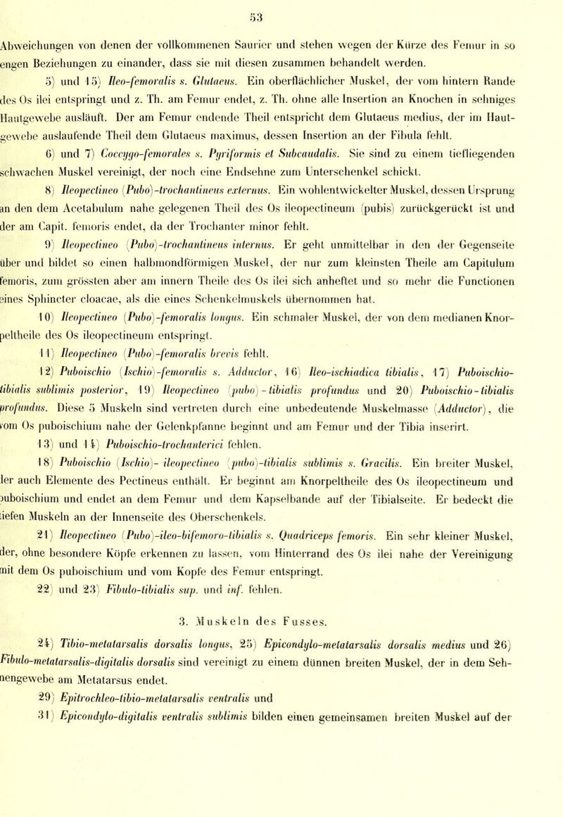 Abweichungen von denen der vollkommenen Saurier und stehen wegen der Kürze des Femur in so engen Beziehungen zu einander, dass sie mit diesen zusammen behandelt werden. 5) und 15) Ueo-femoralis s. Glutaeus. Ein oberflächlicher Muskel, der vom hintern Rande des Os ilei entspringt und z. Th. am Femur endet, z. Th. ohne alle Insertion an Knochen in sehniges Hautgewebe auslauft, Der am Femur endende Theil entspricht dem Glutaeus medius, der im Haut- gewebe auslaufende Theil dem Glutaeus maximus, dessen Insertion an der Fibula fehlt, 6) und 7) Coccygo-femorales s. Pyriformis et Subcaudalis. Sie sind zu einem tiefliegenden schwachen Muskel vereinigt, der noch eine Endsehne zum Unterschenkel schickt, 8) Ileopectineo (Ptiboj-trochantineus extemus. Ein wohlentwickelter Muskel, dessen Ursprung an den dem Acetabulum nahe gelegenen Theil des Os ileopectineum (pubis) zurückgerückt ist und der am Capit, femoris endet, da der Trochanter minor fehlt. 9) Ileopectineo (Pubo)-lrochantineus internus. Er geht unmittelbar in den der Gegenseite über und bildet so einen halbmondförmigen Muskel, der nur zum kleinsten Theile am Capitulum femoris, zum grössten aber am innern Theile des Os ilei sich anheftet und so mehr die Functionen aines Sphincter cloacae, als die eines Schenkelmuskels übernommen hat, 10) Ileopectineo (Pubo)-femoralis longus. Ein schmaler Muskel, der von dem medianen Knor- peltheile des Os ileopectineum entspringt, 11) Ileopectineo (Pubo)-fem oralis brevis fehlt, 12) Puboischio (Ischio)-femoralis s. Adductor, 16) Ileo-ischiadica tibialis, 17) Puboischio- tibialis sublimis posterior, 19) Ileopectineo (pubo) - tibialis profundus und 20) Puboischio-tibialis profundus. Diese 5 Muskeln sind vertreten durch eine unbedeutende Muskelmasse [Adductor), die mm Os puboischium nahe der Gelenkpfanne beginnt und am Femur und der Tibia inserirt. I 3) und I 4) Puboischio-trochanterici fehlen. 1 8) Puboischio (Ischio)- ileopectineo (pubo)-tibialis sublimis s. Gracilis. Ein breiter Muskel, ler auch Elemente des Pectineus enthalt, Er beginnt am Knorpeltheile des Os ileopectineum und puboischium und endet an dem Femur und dem Kapselbande auf der Tibialseite. Er bedeckt die ;iefen Muskeln an der Innenseite des Oberschenkels. 21) Ileopectineo (Pubo)-ileo-bifemoro-tibialis s. Quadriceps femoris. Ein sehr kleiner Muskel, der, ohne besondere Köpfe erkennen zu lassen, vom Hinterrand des Os ilei nahe der Vereinigung nit dem Os puboischium und vom Kopfe des Femur entspringt. 22) und 23) Fibulo-tibialis sup. und inf. fehlen. 3. Muskeln des Fusses. 24) Tibio-metatarsalis dorsalis longus, 25) Epicondylo-melatarsalis dorsalis medius und 26) Fibulo-metatarsalis-digitalis dorsalis sind vereinigt zu einem dünnen breiten Muskel, der in dem Seh- nengewebe am Metatarsus endet. 29) Epitrochleo-tibio-rnetalarsalis ventralis und 31) Epicondylo-digitalis ventralis sublimis bilden einen gemeinsamen breiten Muskel auf der