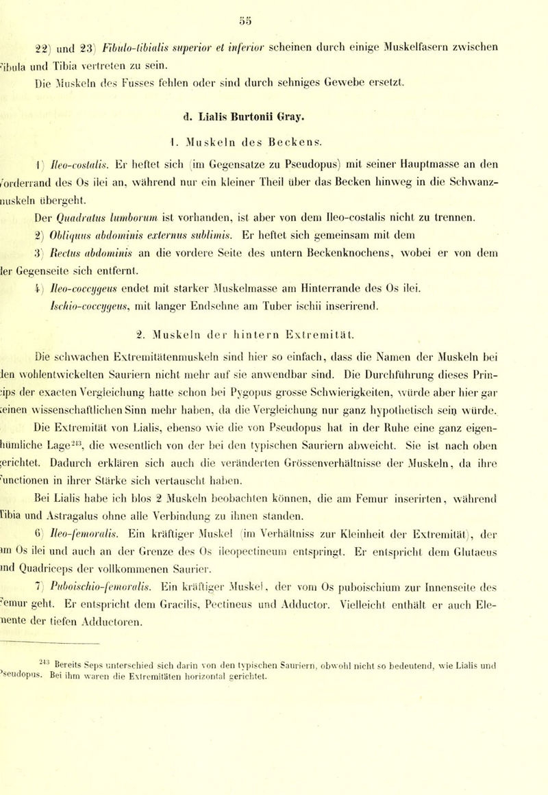 22) und 23) Fibülo-tibialis superior et inferior scheinen durch einige Muskelfasern zwischen iübulä und Tibia vertreten zu sein. Die Muskeln des Fusses fehlen oder sind durch sehniges Gewebe ersetzt, d. Lialis Burtonii Gray. I. Muskeln des Beckens. \) Ileo-costalis. Er heftet sich (im Gegensatze zu Pseudopus) mit seiner Hauptmasse an den /ordenand des Os ilei an, während nur ein kleiner Theil über das Becken hinweg in die Schwanz- nuskeln übergeht, Der Quadratus lumborum ist vorhanden, ist aber von dem Ileo-costalis nicht zu trennen. 2) Obliquus abdominis exicrnus sublimis. Er heftet sich gemeinsam mit dem 3) Rechts abdominis an die vordere Seite des untern Beckenknochens, wobei er von dem ler Gegenseite sich entfernt, 4) Ueo-coccygeits endet mit starker Muskelmasse am Hinterrande des Os ilei. Isckio+coccygeus, mit langer Endsehne am Tuber ischii inserirend. 2. Muskeln der hintern Extremität, Die schwachen Extremitätenmuskeln sind hier so einfach, dass die Namen der Muskeln bei len wohlentwickelten Sauriern nicht mehr auf sie anwendbar sind. Die Durchführung dieses Prin- zips der exacten Vergleichung hatte schon bei Pygopus grosse Schwierigkeiten, würde aber hier gar :einen wissenschaftlichen Sinn mehr haben, da die Vergleichung nur ganz hypothetisch sein würde. Die Extremität von Lialis, ebenso wie die von Pseudopus hat in der Ruhe eine ganz eigen- luimliche Lage 243, die wesentlich von der bei den typischen Sauriern abweicht, Sie ist nach oben ;erichtet, Dadurch erklären sich auch die veränderten Grössenverhältnisse der Muskeln, da ihre 'unctionen in ihrer Stärke sich vertauscht haben. Bei Lialis habe ich blos 2 Muskeln beobachten können, die am Femur inserirten, während ribia und Astragalus ohne alle Verbindung zu ihnen standen. 6) Iho-femoralis. Ein kräftiger Muskel (im Verhältniss zur Kleinheit der Extremität), der »m Os ilei und auch an der Grenze des Os ileopectineum entspringt, Er entspricht dem Glutaeus md Quadriceps der vollkommenen Saurier. 7) Puboischio-femoralis. Ein kräftiger Muskel, der vom Os puboischium zur Innenseite des femur geht, Er entspricht dem Gracilis, Pectineus und Adductor. Vielleicht enthält er auch Ele- nente der tiefen Adductoren. 243 Bereits Seps unterschied sich darin von den typischen Sauriern, obwohl nicht so bedeutend, wie Lialis und seudopus. Bei ihm waren die Extremitäten horizontal gerichtet.