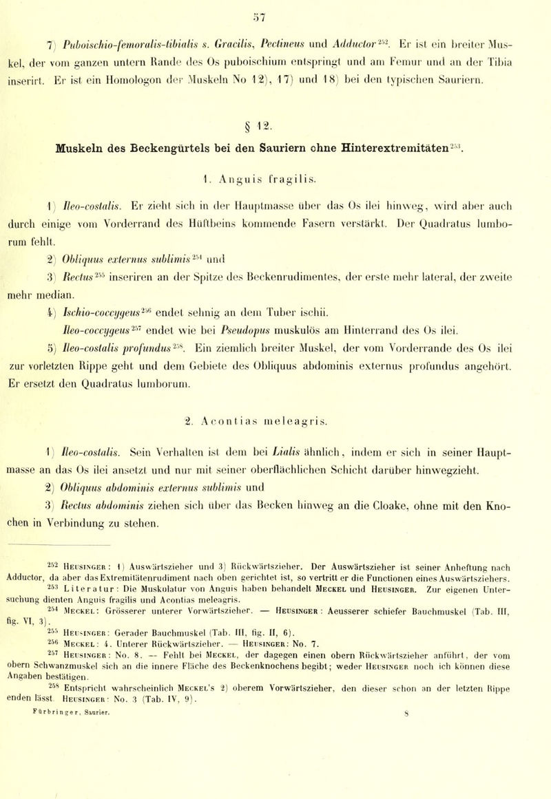 7) Puboisehio-femoralis-tibialis s. Gracilis, Pectineus und Adductorm. Er ist ein breiter Mus- kel, der vom ganzen untern Rande des Os puboischium entspringt und am Femur und an der Tibia inserirt. Er ist ein Homologem der Muskeln No 12), 17) und 18) bei den typischen Sauriern. § 12. Muskeln des Beekengürtels bei den Sauriern ohne Hinterextremitäten253. 1. A n g u i s fr a g i 1 i s. 1) Eeo-costalis. Er zieht sich in der Hauptmasse über das Os ilei hinweg, wird aber auch durch einige vom Vorderrand des Hüftbeins kommende Fasern verstärkt, Der Quadratus lumbo- rum fehlt, 2) Obliquus externus sublimis25i und 3) Rectus2^ inseriren an der Spitze des Beckenrudimentes, der erste mehr lateral, der zweite mehr median. 4) Ischio-coccygeus'm endet sehnig an dem Tuber ischii. Meo-coccygeus2m endet wie bei Pseudopus muskulös am Hinterrand des Os ilei. 5) Eeo-costalis profundus258. Ein ziemlich breiter Muskel, der vom Vorderrande des Os ilei zur vorletzten Rippe geht und dem Gebiete des Obliquus abdominis externus profundus angehört. Er ersetzt den Quadratus lumborum. 2. Acontias meleagris. 1) Ileo-costalis. Sein Verhalten ist dem bei Lialis ähnlich, indem er sich in seiner Haupt- masse an das Os ilei ansetzt und nur mit seiner oberflächlichen Schicht darüber hinwegzieht. 2) Obliquus abdominis externus sublimis und 3) Reclus abdominis ziehen sich über das Becken hinweg an die Cloake, ohne mit den Kno- chen in Verbindung zu stehen. 252 Heusinger: 1) Auswärtszieher und 3) Rückwärtszieher. Der Auswärtszieher ist seiner Anheftung nach Adductor, da aber das Extremitätenrudiment nach oben gerichtet ist, so vertritt er die Functionen eines Auswärtsziehers. 253 Literatur: Die Muskulatur von Anguis haben behandelt Meckel und Heusinger. Zur eigenen Unter- suchung dienten Anguis fragilis und Acontias meleagris. 254 Meckel: Grösserer unterer Vorwärtszieher. — Heusinger: Aeusserer schiefer Bauchmuskel (Tab. III, fig. VI, 3). 255 Heininger: Gerader Bauchmuskel (Tab. HI, fig. II, 6). 256 Meckel: 4. Unterer Rückwärtszieher. — Heusinger: No. 7. 257 Heusinger: No. 8. — Fehlt bei Meckel, der dagegen einen obern Rückwärtszieher anführt, der vom obern Schwanzmuskel sich an die innere Fläche des Beckenknochens begibt; weder Heusinger noch ich können diese Angaben bestätigen. 258 Entspricht wahrscheinlich Meckel's ü2) oberem Vorwärtszieher, den dieser schon an der letzten Hippe enden lässt Heusinger: No. 3 (Tab. IV, 9). Fürbringer, Sanrier. g