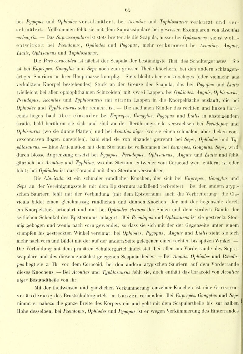 bei Pygopus und Ophiodes verschmälert, bei Acontias und Typhlosaurus verkürzt und ver- schmälert. Vollkommen fehlt sie mit dem Suprascapulare bei gewissen Exemplaren von Acontias meleagris. — Das Suprascapulare ist stets breiter als die Scapula, ausser bei Ophisaurus; sie ist wohl- entwickelt bei Pseudopus, Ophiodes und Pygopus, mehr verkümmert bei Acontias, Anguis, Lialis, Ophisaurus und Typhlosaurus. Die Pars coracoidea ist nächst der Scapula der beständigste Theil des Schultergerüstes. Sie ist bei Euprepes, Gongylus und Seps noch zum grossen Theile knöchern, bei den andern schlangen- artigen Sauriern in ihrer Hauptmasse knorplig. Stets bleibt aber ein knochiges (oder vielmehr aus verkalktem Knorpel bestehendes) Stück an der Grenze der Scapula, das bei Pygopus und Lialis (vielleicht bei allen ophiophthalmen Scincoiden) mit zwei Lappen, bei Ophiodes, Anguis, Ophisaurus, Pseudopus, Acontias und Typhlosaurus mit einem Lappen in die Knorpelfläche ausläuft, die bei Ophiodes und Typhlosaurus sehr reducirt ist. — Die medianen Ränder des rechten und linken Cora- coids liegen bald über einander bei Euprepes, Gongylus, Pygopus und Lialis in absteigendem Grade, bald berühren sie sich und sind an der Berührungsstelle verwachsen bei Pseudopus und Ophisaurus (wo sie dünne Platten) und bei Acontias niger (wo sie einen schmalen, aber dicken con- vexconcaven Bogen darstellen), bald sind sie von einander getrennt bei Seps, Ophiodes und Ty- phlosaurus. — Eine Articulation mit dem Sternum ist vollkommen bei Euprepes, Gongylus, Seps, wird durch blosse Angrenzung ersetzt bei Pygopus, Pseudopus, Ophisaurus, Anguis und Lialis und fehlt gänzlich bei Acontias und Typhline, wo das Sternum entweder vom Coracoid weit entfernt ist oder fehlt; bei Ophiodes ist das Coracoid mit dem Sternum verwachsen. Die Clavicula ist ein schmaler rundlicher Knochen, der sich bei Euprepes, Gongylus und Seps an der Vereinigungssteüe mit dem Episternum auffallend verbreitert. Bei den andern atypi- schen Sauriern fehlt mit der Verbindung (mit dem Episternum) auch die Verbreiterung: die Cla- vicula bildet einen gleichmässig rundlichen und dünnen Knochen, der mit der Gegenseite durch ein Knorpelstück articulirt und nur bei Ophiodes striatus der Spitze und dem vordem Rande der seitlichen Schenkel des Episternums anlagert. Bei Pseudopus und Ophisaurus ist sie gestreckt Sför- mig gebogen und wenig nach vorn gewendet, so dass sie sich mit der der Gegenseite unter einem stumpfen bis gestreckten Winkel vereinigt; bei Ophiodes, Pygopus, Anguis und Lialis zieht sie sich mehr nach vorn und bildet mit der auf der andern Seite gelegenen einen rechten bis spitzen Winkel. — Die Verbindung mit dem primären Schultergürtel findet statt bei allen am Vorderrande des Supra- scapulare und des diesem zunächst gelegenen Scapulartheiles. — Bei Anguis, Ophiodes und Pseudo- pus liegt sie z. Th. vor dem Coracoid, bei den andern atypischen Sauriern auf dem Vorderrande dieses Knochens. — Bei Acontias und Typhlosaurus fehlt sie, doch enthält das Coracoid von Acontias niger Bestandtheile von ihr. Mit der theilweisen und gänzlichen Verkümmerung einzelner Knochen ist eine Grossen- veränderung des Brustschultergürtels im Ganzen verbunden. Bei Euprepes, Gongylus und Seps nimmt er nahezu die ganze Breite des Körpers ein und geht mit dem Scapulartheile bis zur halben Höhe desselben, bei Pseudopus, Ophiodes und Pygopus ist er wegen Verkümmerung des Hinterrandes