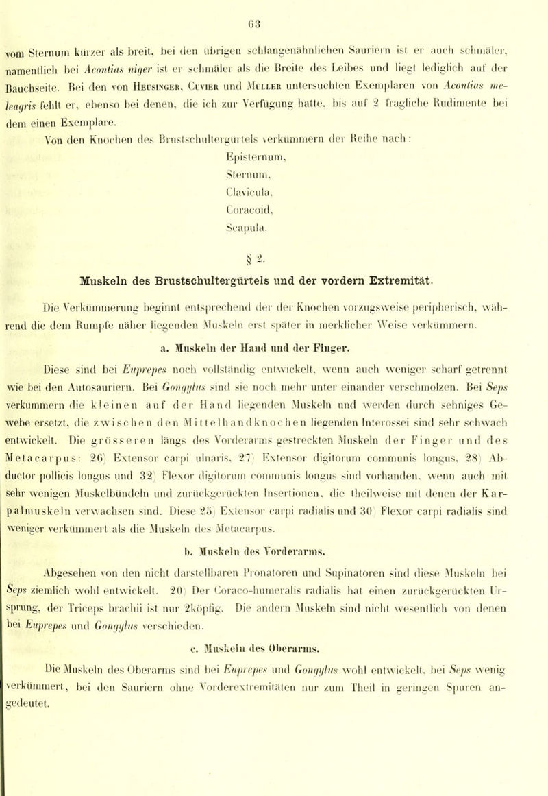 03 vom Steinum kürzer als breit, bei den übrigen schlangenähnlichen Sauriern ist er auch schmäler, namentlich bei Acontias niger ist er schmaler als die Breite des Leibes und liegt lediglich auf der Bauchseite. Bei den von Heüsingeb, Cuvier und Müller untersuchten Exemplaren von Acontias me- leagris fehlt er, ebenso bei denen, die ich zur Verfügung hatte, bis auf 2 fragliche Rudimente bei dem einen Exemplare. Von den Knochen des Brustschultergürtels verkümmern der Reihe nach : Episternum, Sternum, Clavicula. Coracoid, Scapula. Muskeln des Brustschultergürtels und der vordem Extremität. Die Verkümmerung beginnt entsprechend der der Knochen vorzugsweise peripherisch, wah- rend die dem Rumpfe naher liegenden Muskeln erst spater in merklicher Weise verkümmern. a. Muskeln der Hand und der Finger. Diese sind bei Euprepes noch vollständig entwickelt, wenn auch weniger scharf getrennt wie bei den Autosauriern. Bei Gongylus sind sie noch mehr unter einander verschmolzen. Bei Seps verkümmern die kleinen auf der Hand liegenden Muskeln und werden durch sehniges Ge- webe ersetzt, die zwischen den Mittelhandknochen liegenden Interossei sind sehr schwach entwickelt. Die grösseren längs des Vorderarms gestreckten Muskeln der Finger und des Metacarpus: 26) Extensor carpi ulnaris, 27) Extensor digitorum communis longus, 28) Ab- ductor pollicis longus und 32) Flexor digitorum communis longus sind vorhanden, wenn auch mit sehr wenigen Muskelbündeln und zurückgerückten Insertionen, die theilweise mit denen der K a r- palmuskeln verwachsen sind. Diese 25) Extensor carpi radialis und 30) Flexor carpi radialis sind weniger verkümmert als die Muskeln des Metacarpus. b. Muskeln des Vorderarms. Abgesehen von den nicht darstellbaren Pronatoren und Supinatoren sind diese Muskeln bei Seps ziemlich wohl entwickelt. 20; Der Coraco-humeralis radialis hat einen zurückgerückten Ur- sprung, der Triceps brachii ist nur 2köpfig. Die andern Muskeln sind nicht wesentlich von denen bei Euprepes und Gongylus verschieden. c. Muskeln des Oberarms. Die Muskeln des Oberarms sind bei Euprepes und Gongylus wohl entwickelt, bei Seps wenig verkümmert , bei den Sauriern ohne Vorderextremitäten nur zum Theil in geringen Spuren an- gedeutet,